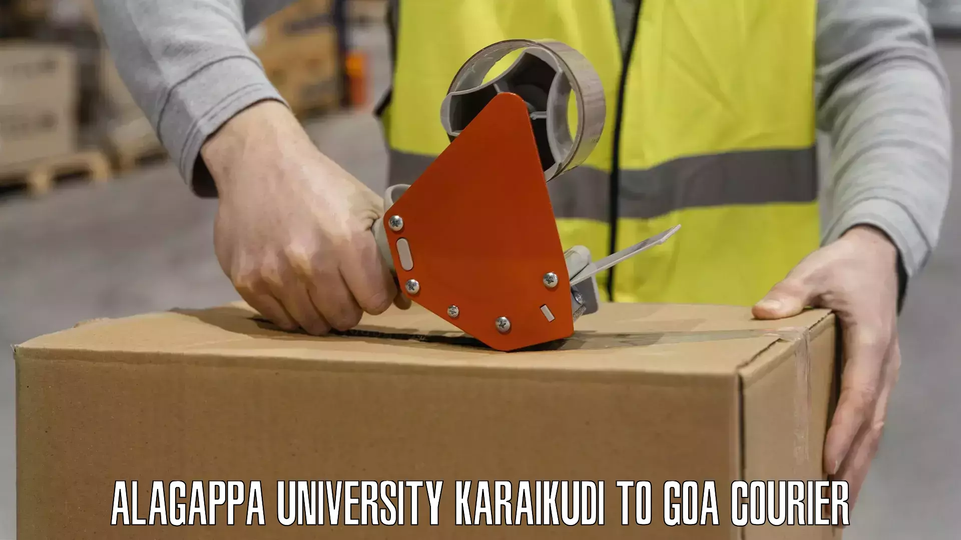 24-hour courier services in Alagappa University Karaikudi to IIT Goa