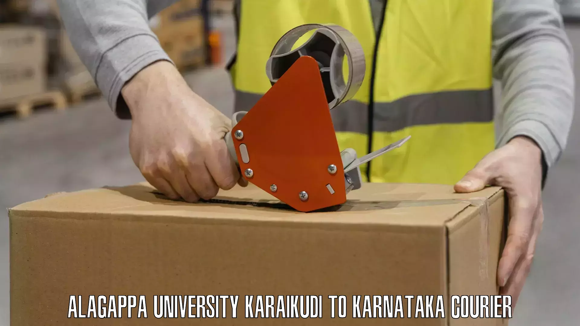 Smart parcel delivery Alagappa University Karaikudi to Karnataka