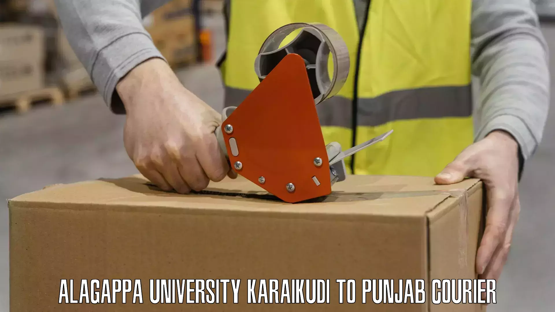 High-speed parcel service Alagappa University Karaikudi to Punjab