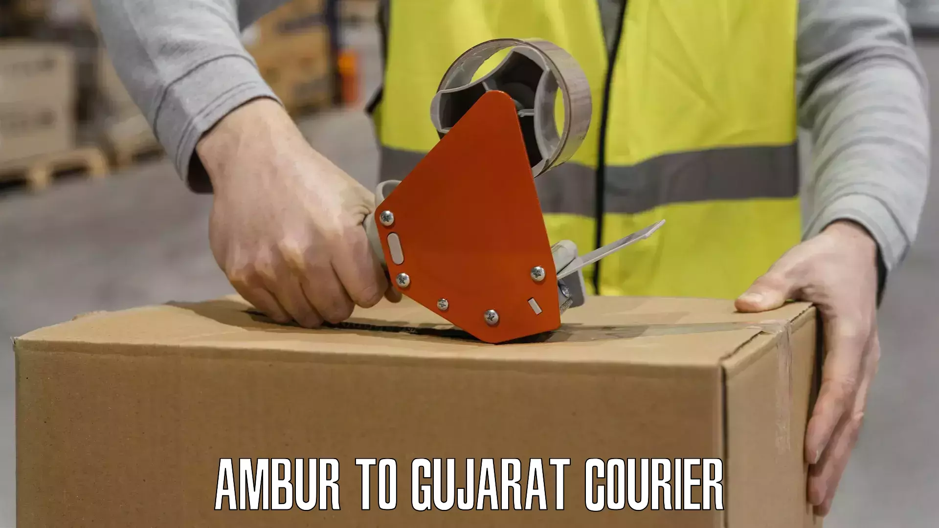 Full-service courier options Ambur to Navrangpura