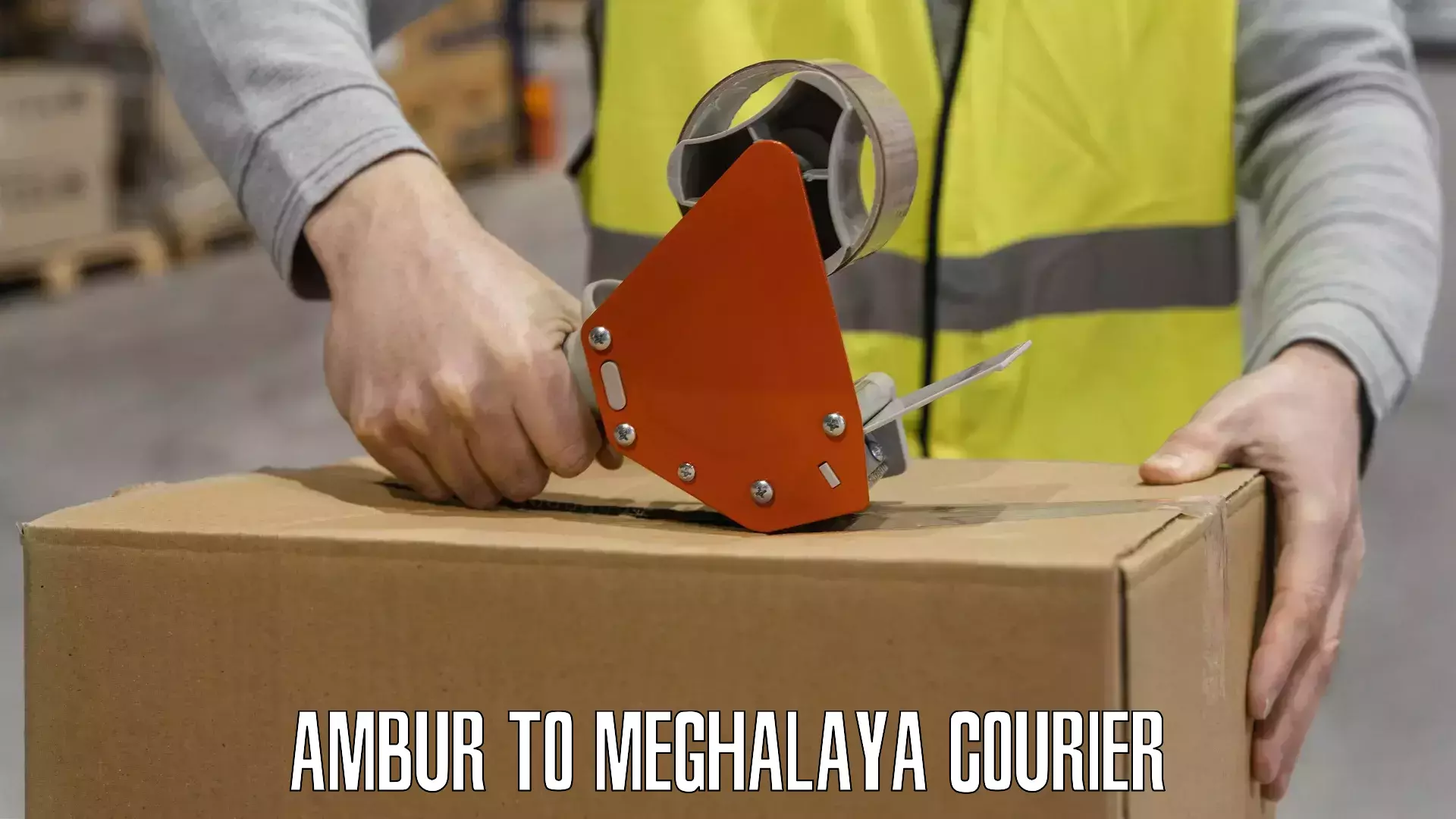 Supply chain efficiency Ambur to Meghalaya