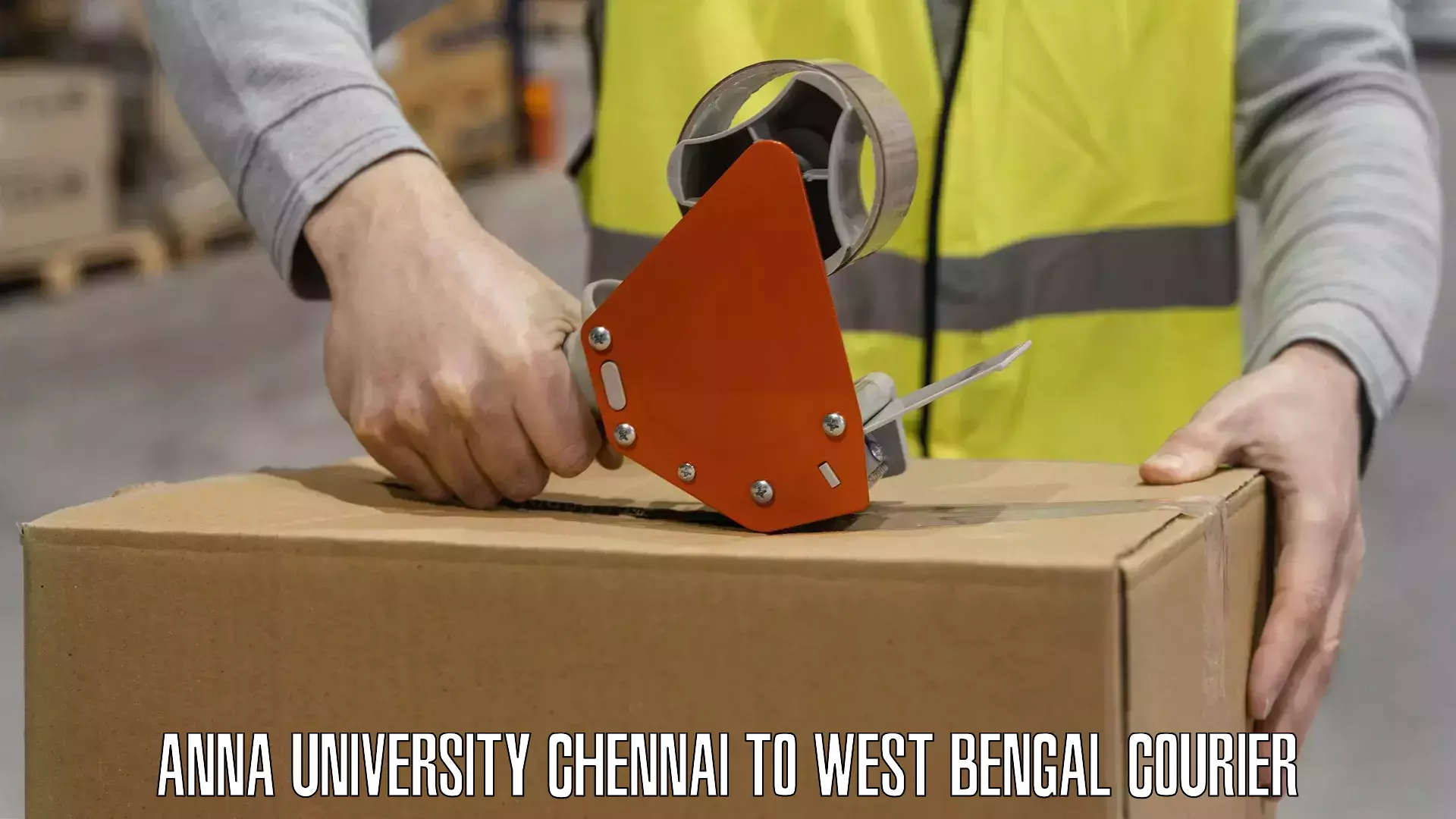 Cost-effective courier options Anna University Chennai to Bolpur