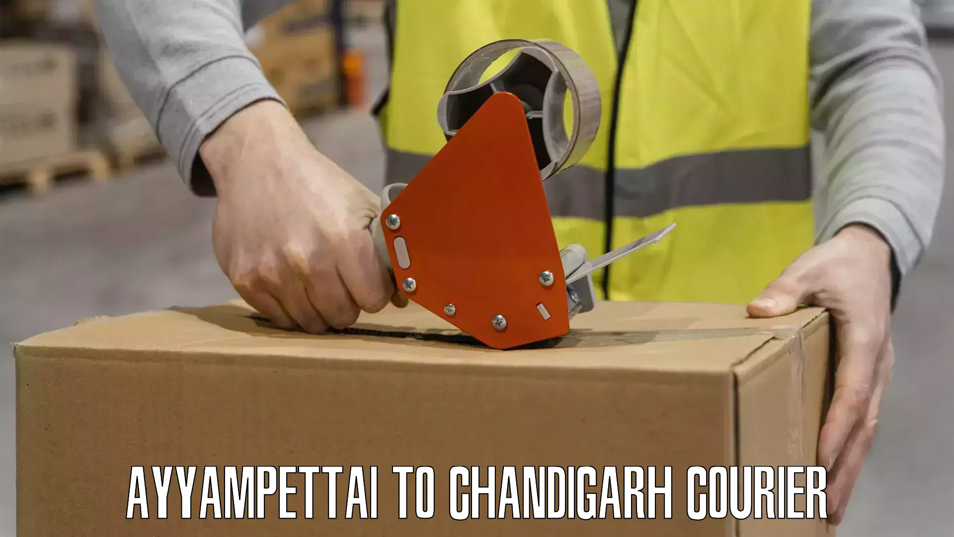 Fragile item shipping Ayyampettai to Chandigarh