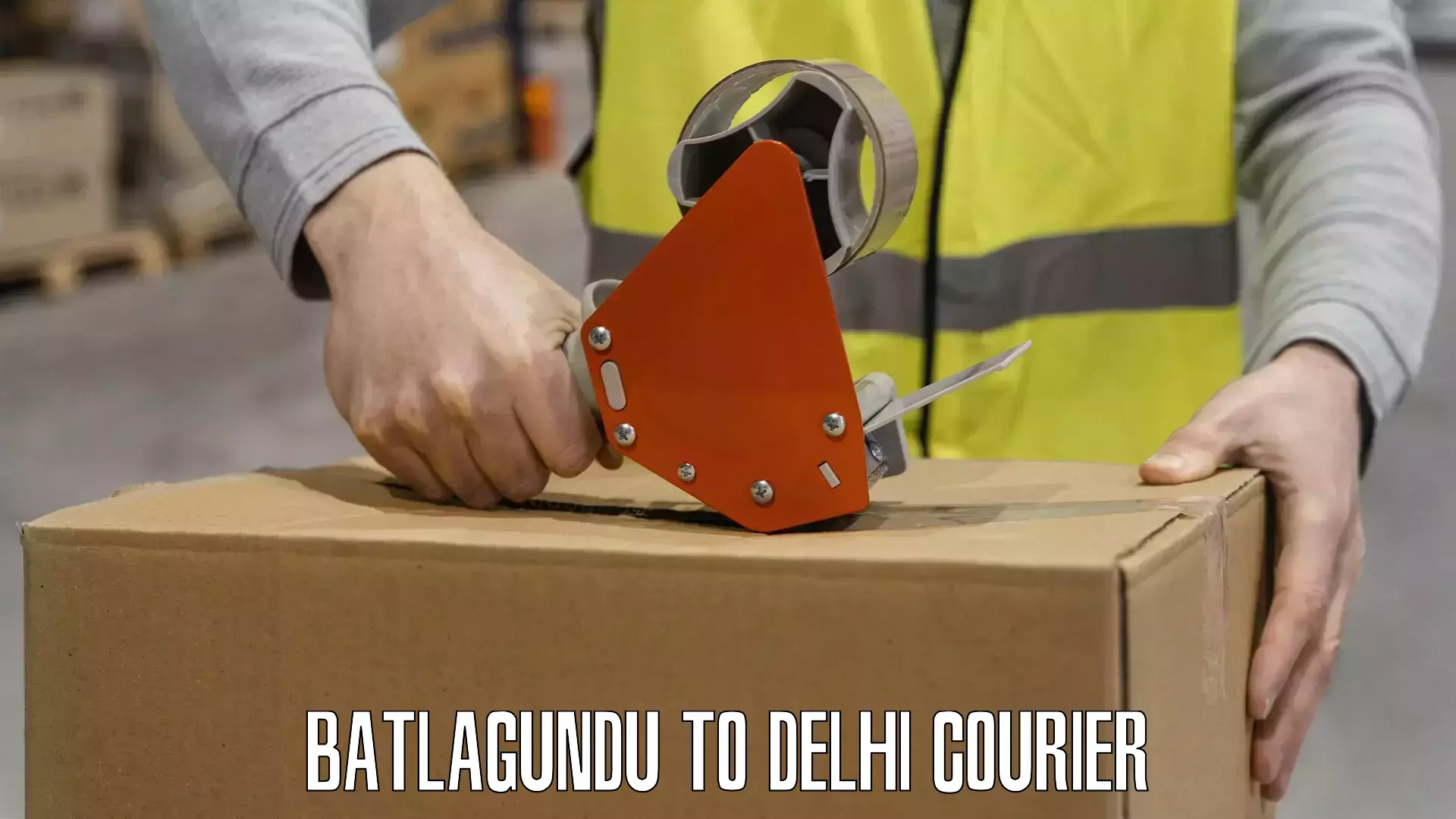 Dynamic parcel delivery in Batlagundu to University of Delhi