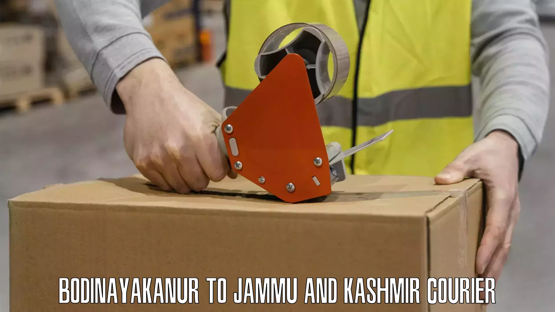 Optimized courier strategies in Bodinayakanur to Jammu and Kashmir