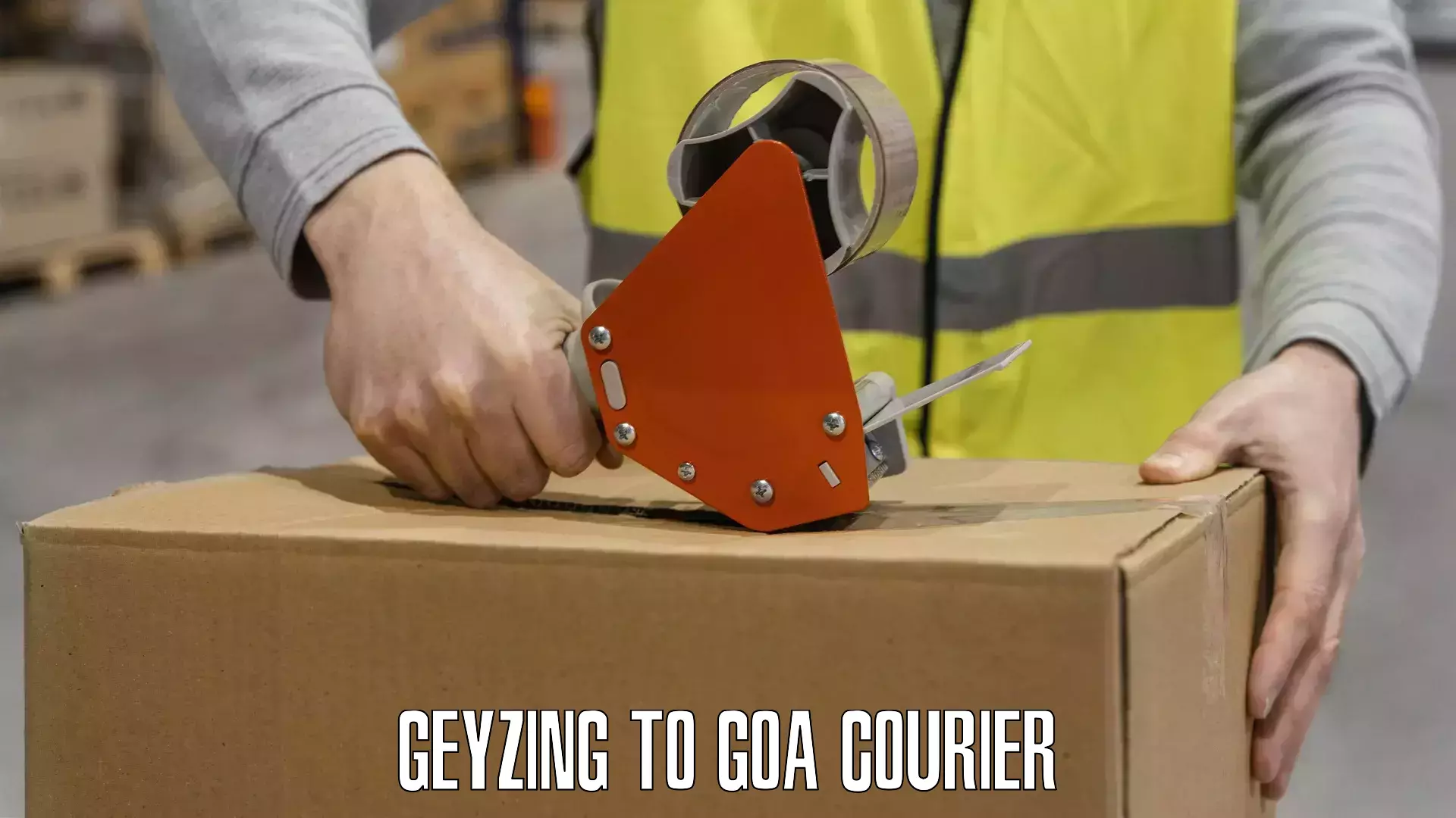 Professional courier services Geyzing to Goa