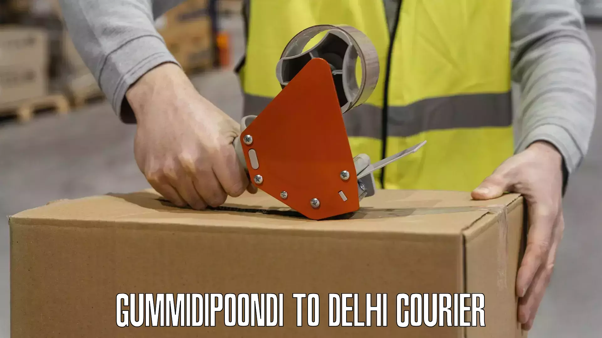 Tailored shipping services in Gummidipoondi to IIT Delhi