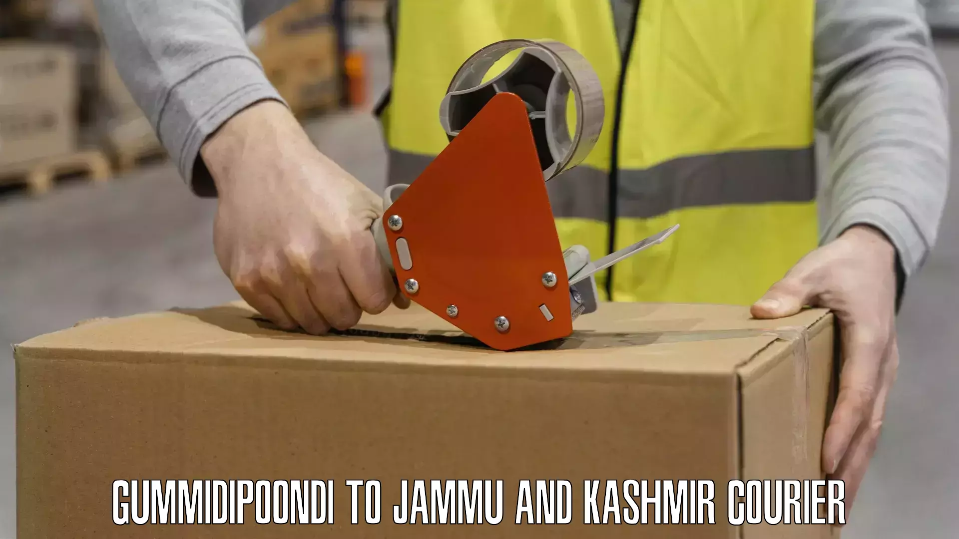 Affordable parcel rates Gummidipoondi to IIT Jammu