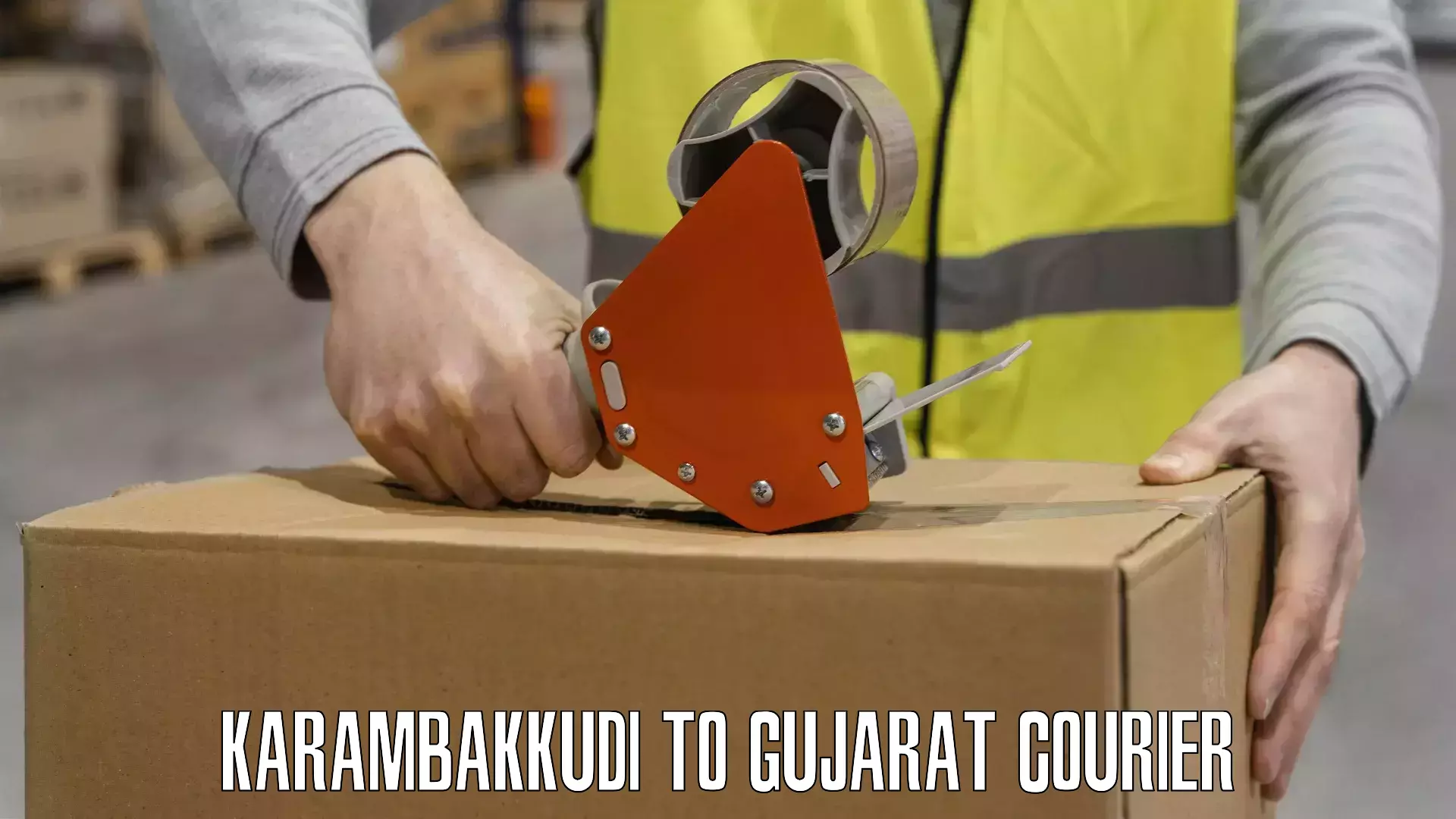 Easy access courier services Karambakkudi to Gujarat