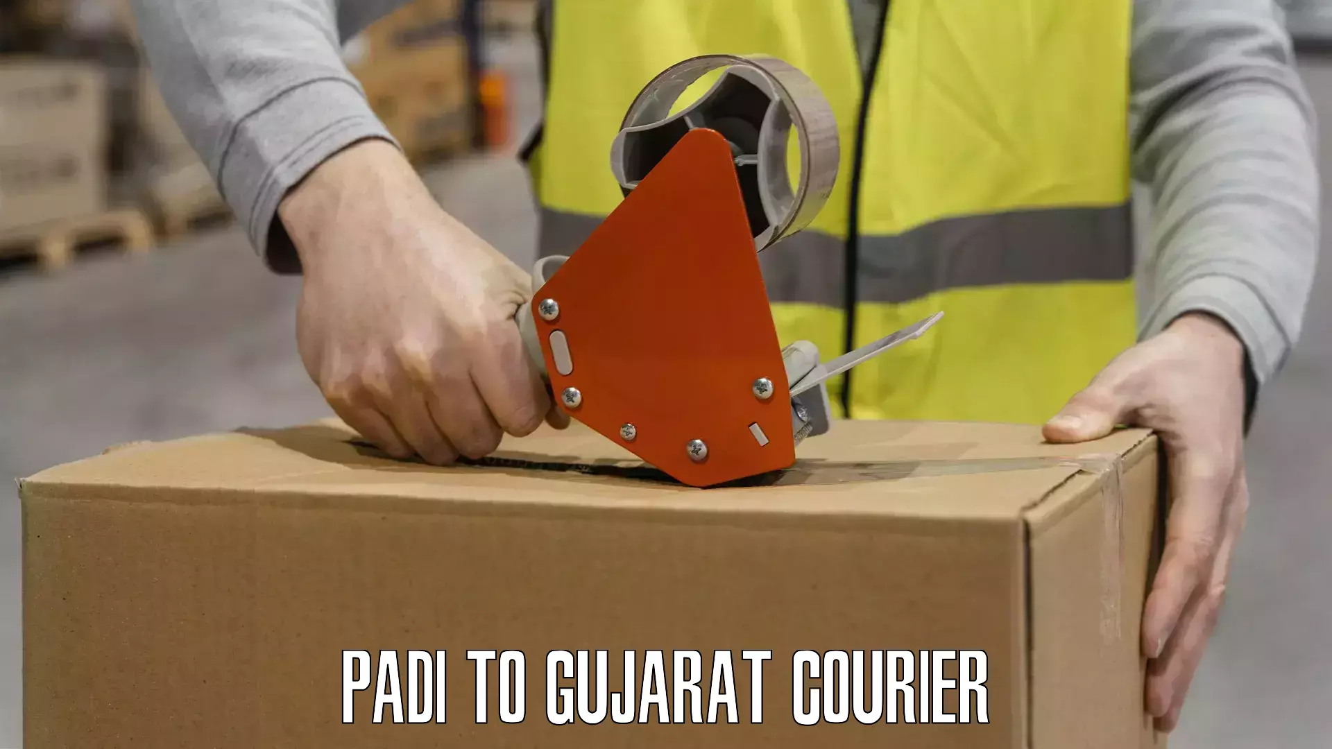 Punctual parcel services Padi to Matar