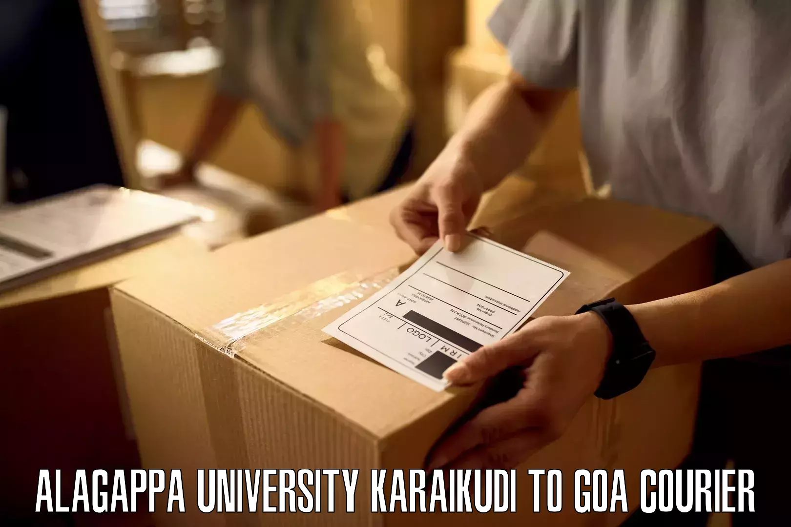 Express logistics service Alagappa University Karaikudi to Goa