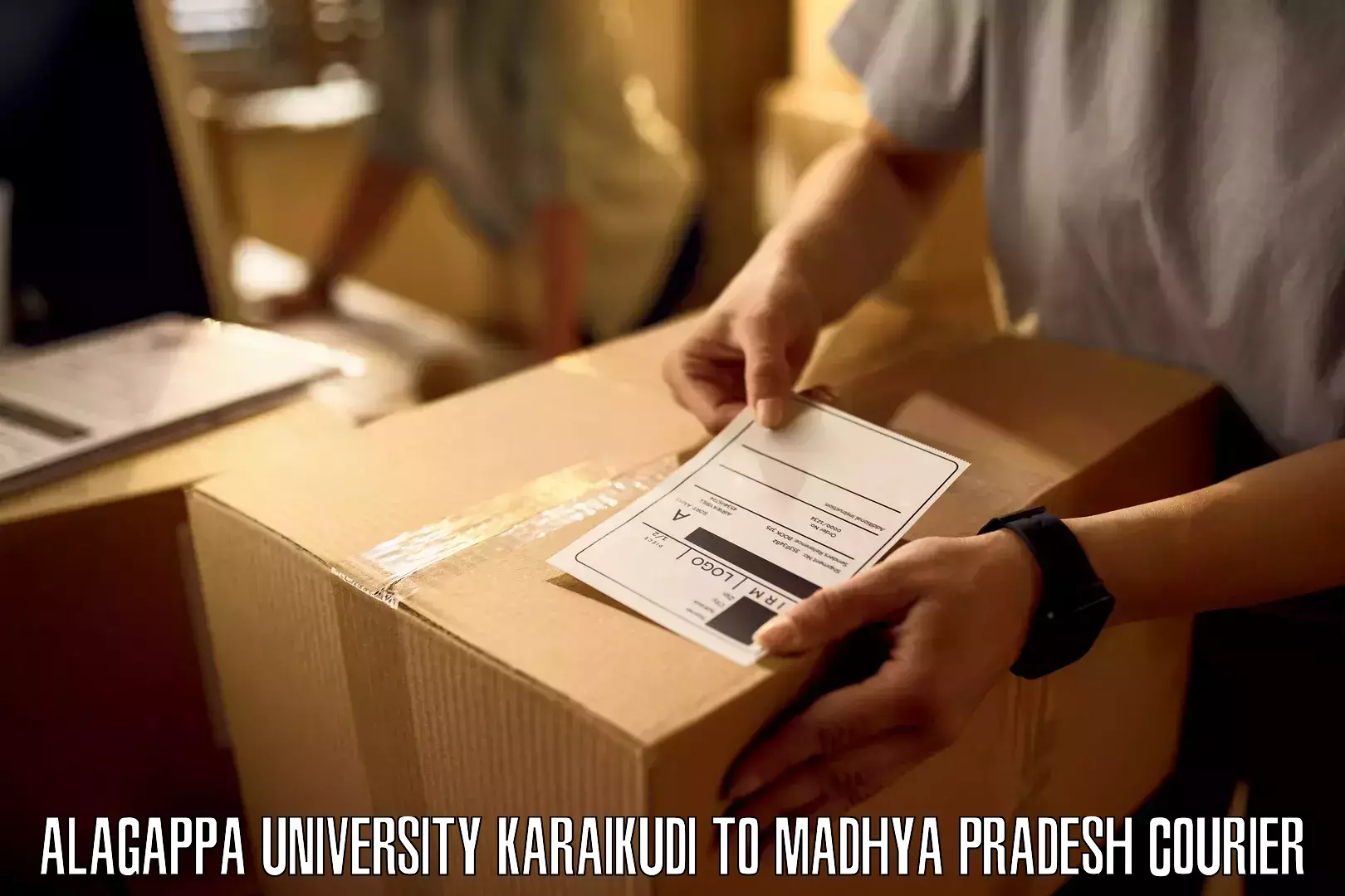 Speedy delivery service Alagappa University Karaikudi to Madhya Pradesh