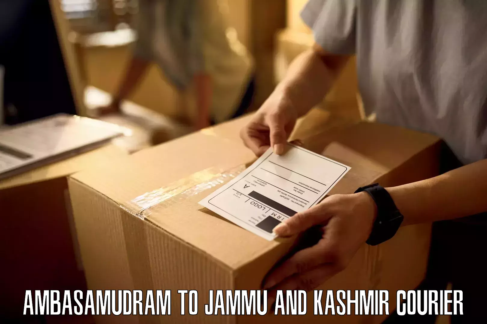 Customized shipping options Ambasamudram to Jammu and Kashmir