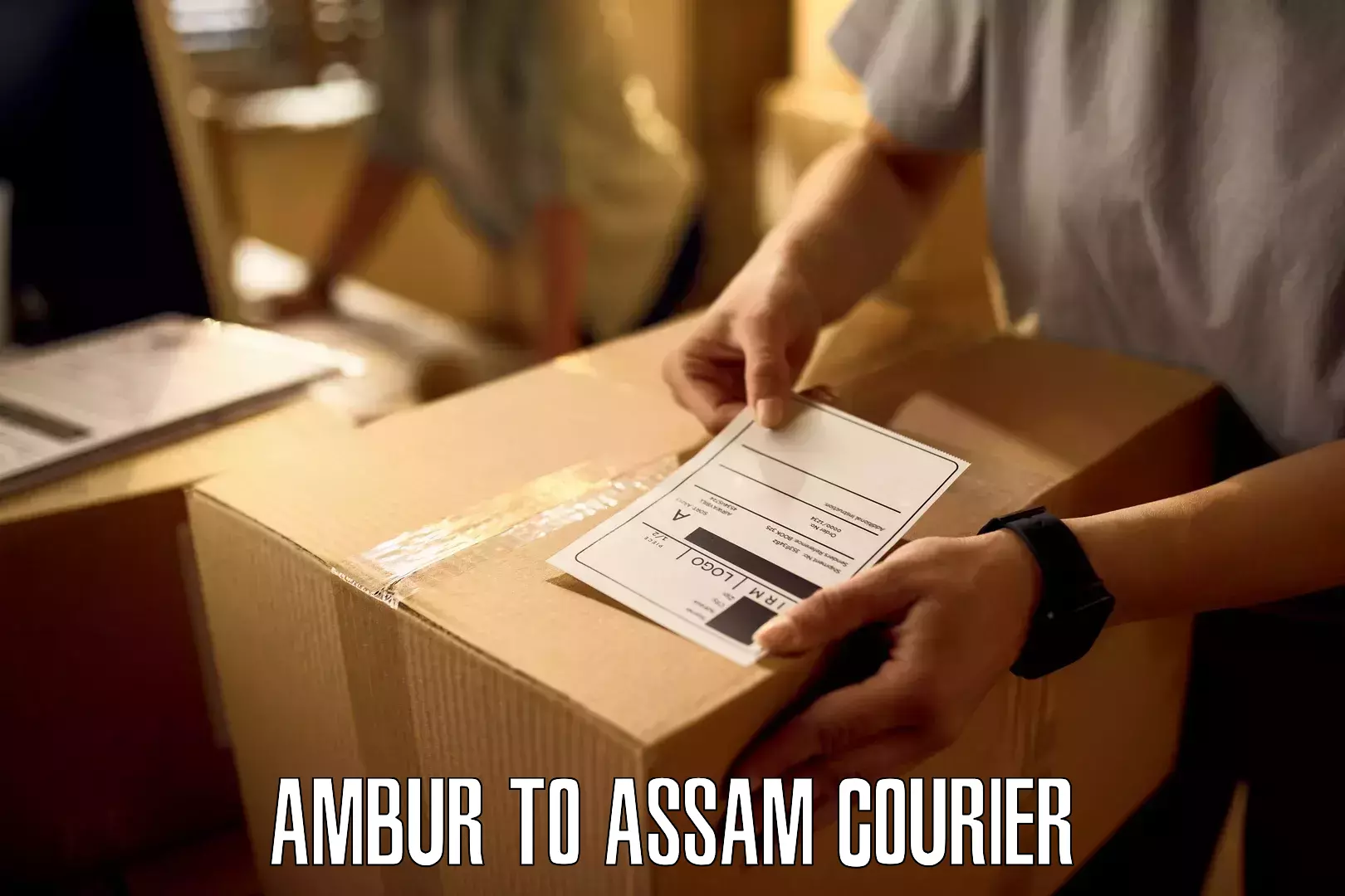 Full-service courier options Ambur to Dhubri