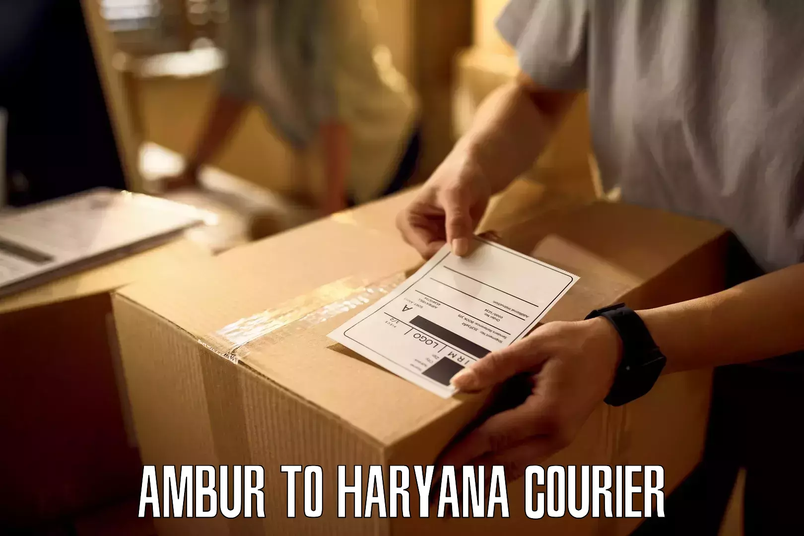 Full-service courier options Ambur to Haryana
