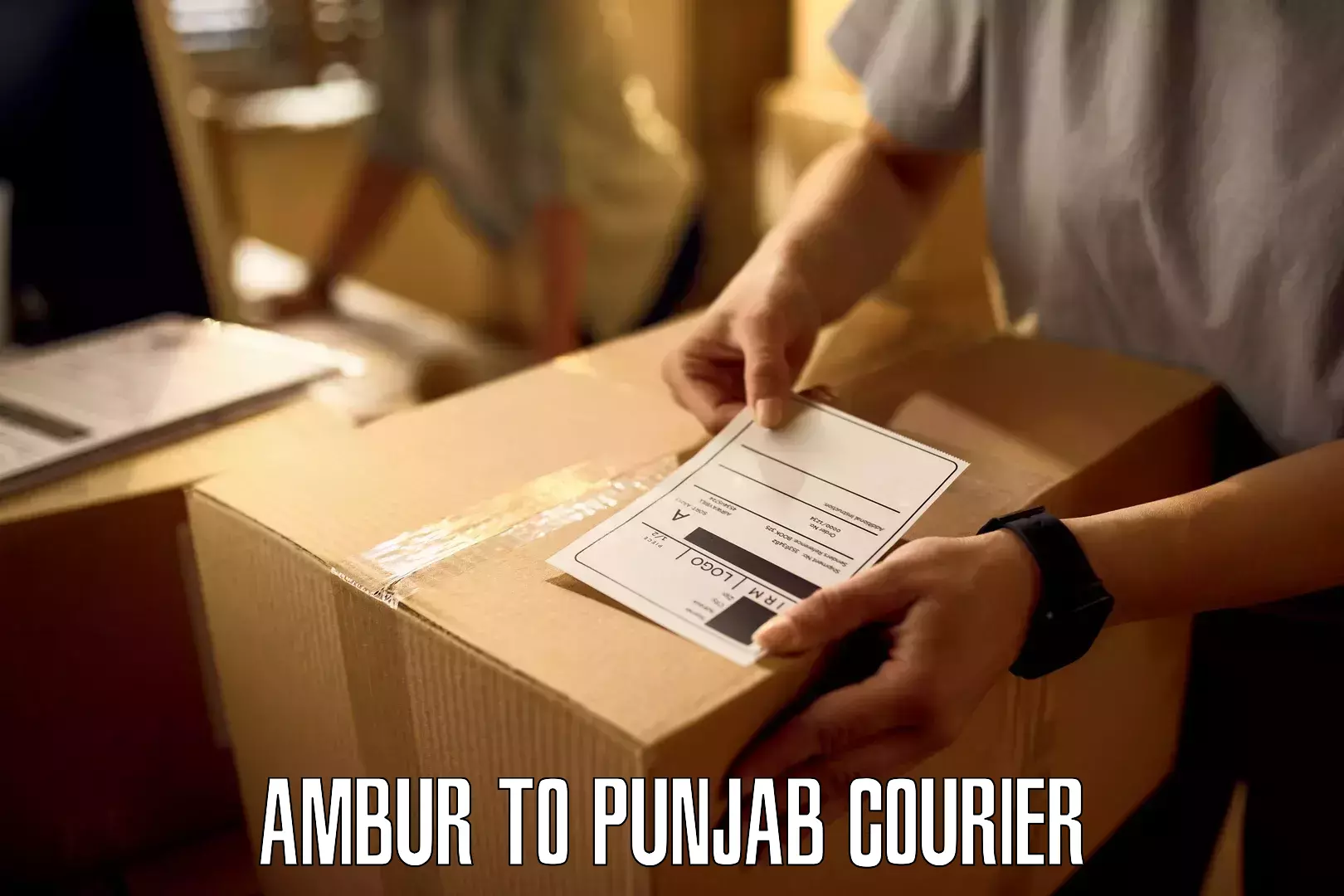 Enhanced shipping experience Ambur to Adampur Jalandhar