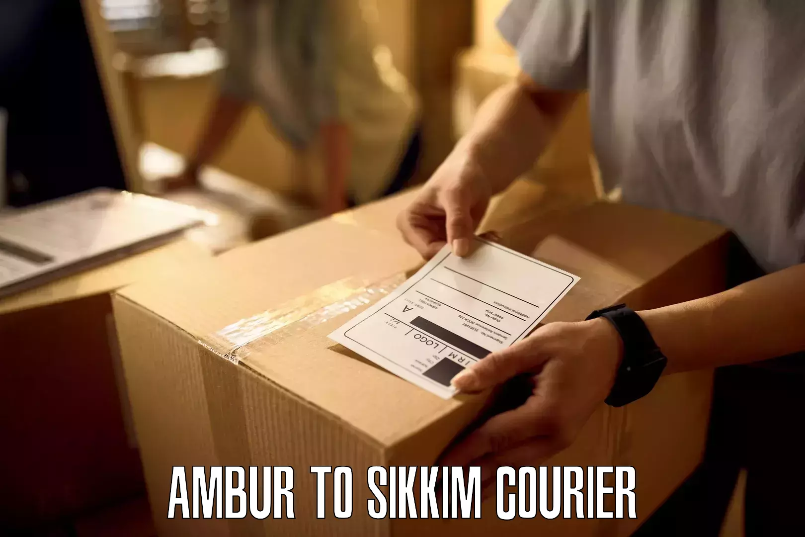 Efficient parcel delivery Ambur to Singtam