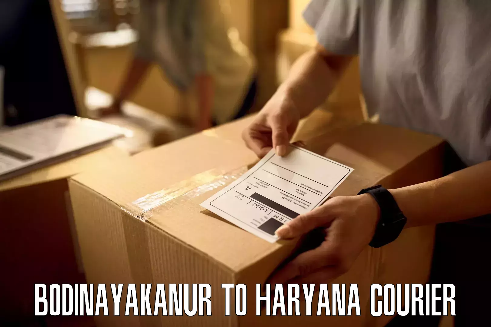 Courier service innovation Bodinayakanur to Haryana