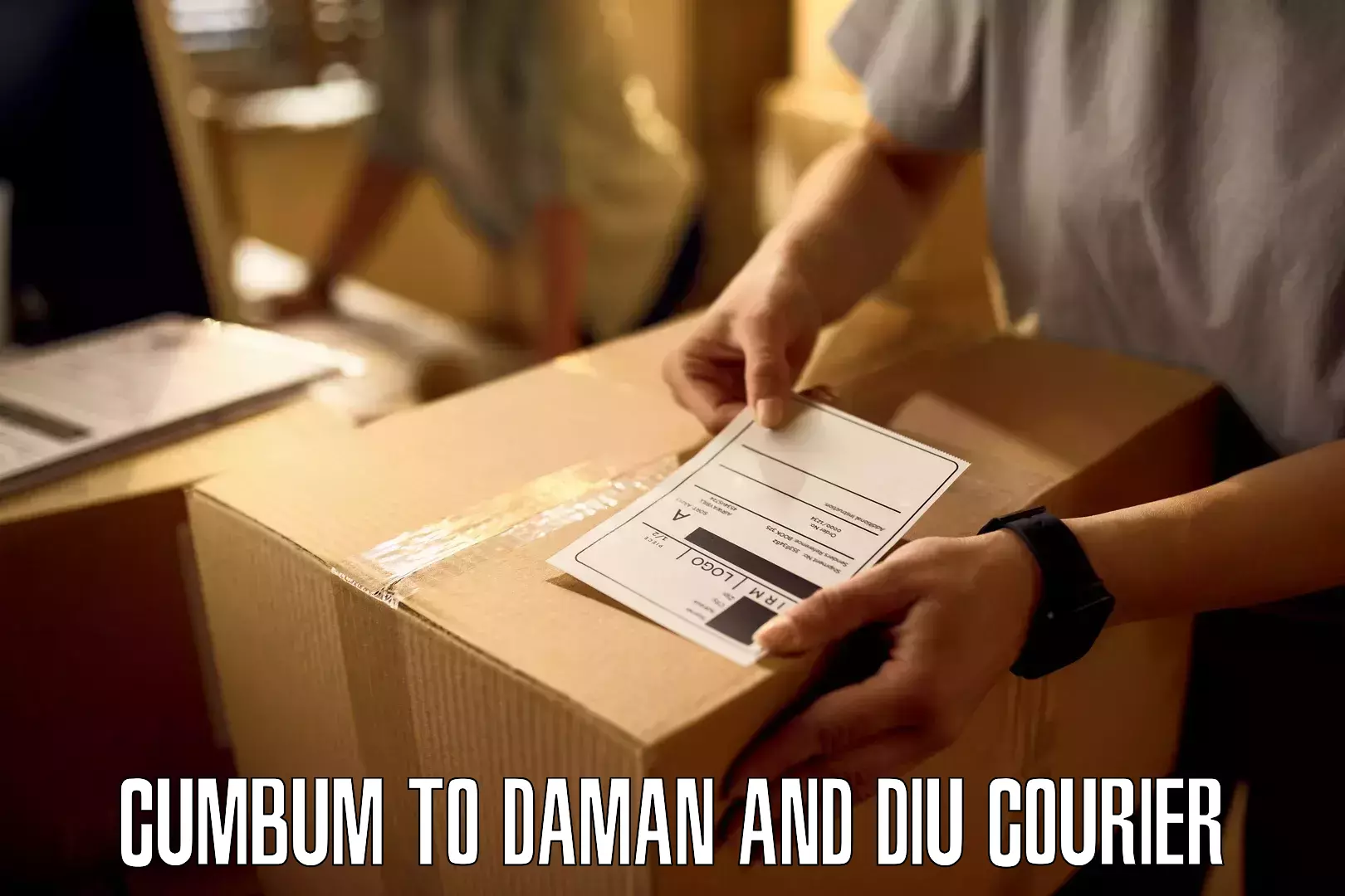 Budget-friendly shipping Cumbum to Daman