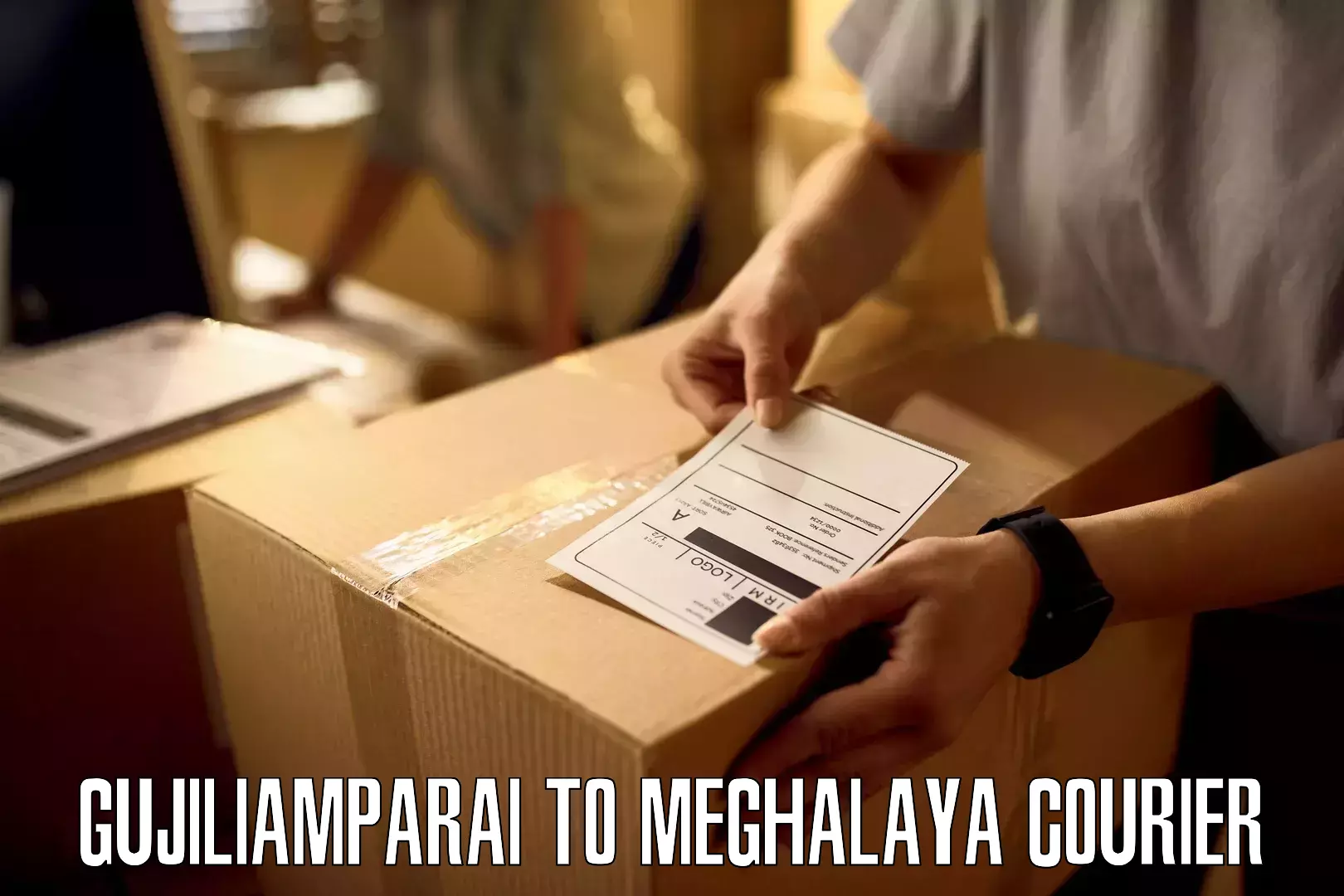 Reliable parcel services Gujiliamparai to Garobadha