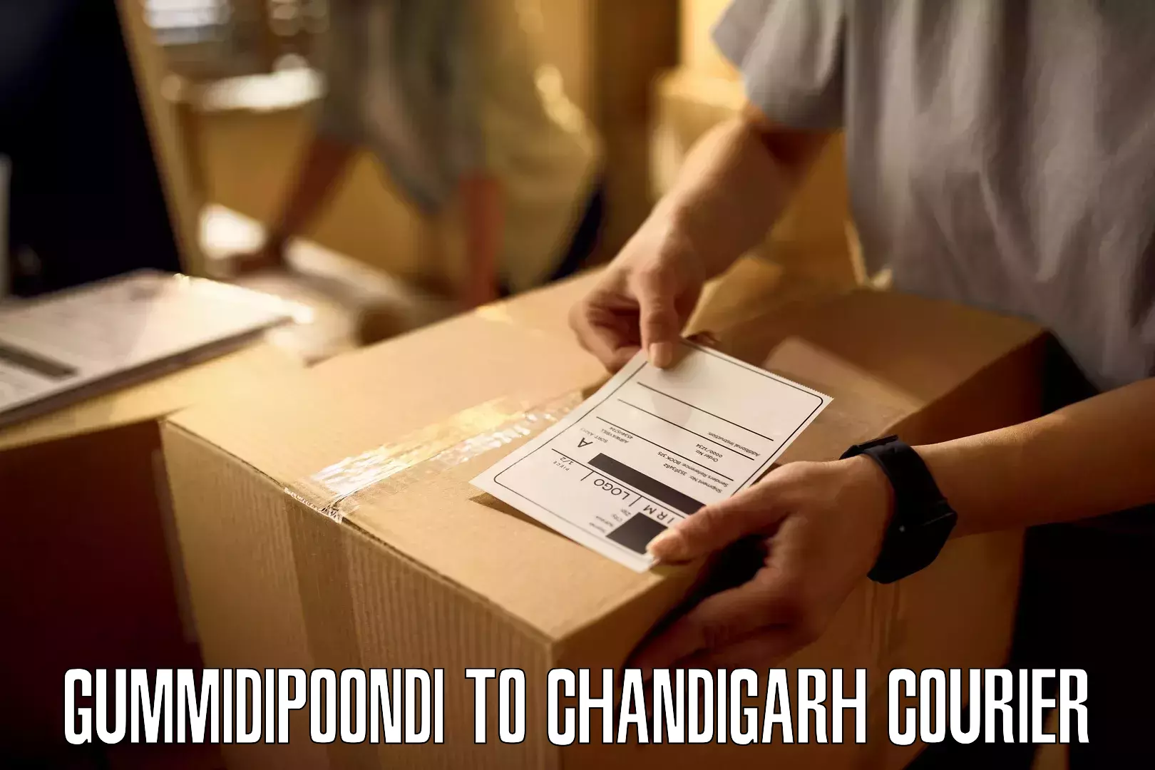 Professional parcel services Gummidipoondi to Chandigarh