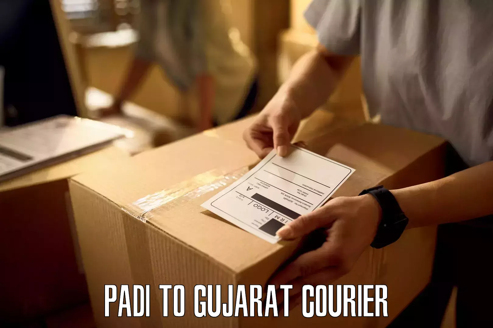 Round-the-clock parcel delivery Padi to Rapar