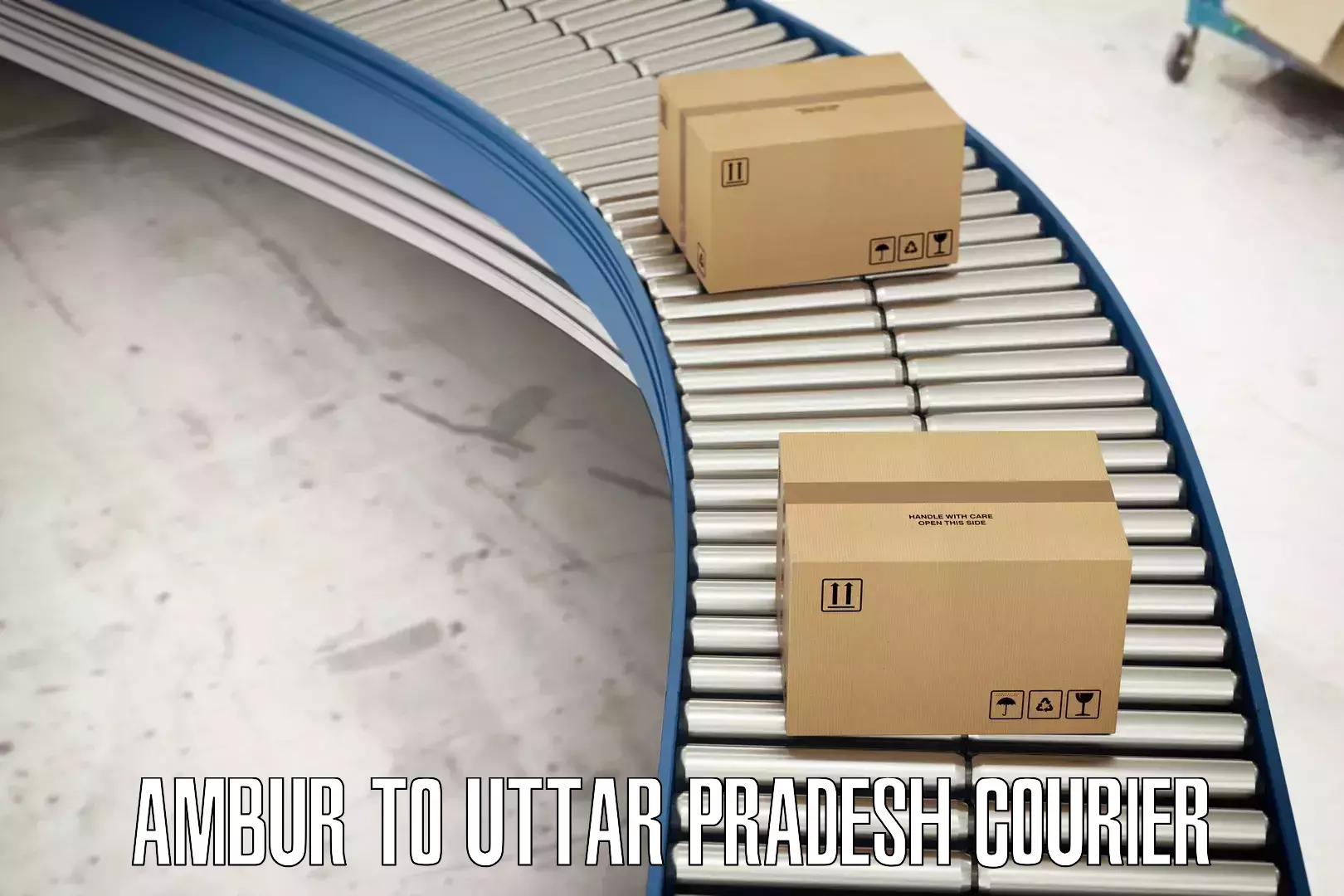 Custom courier solutions Ambur to Uttar Pradesh