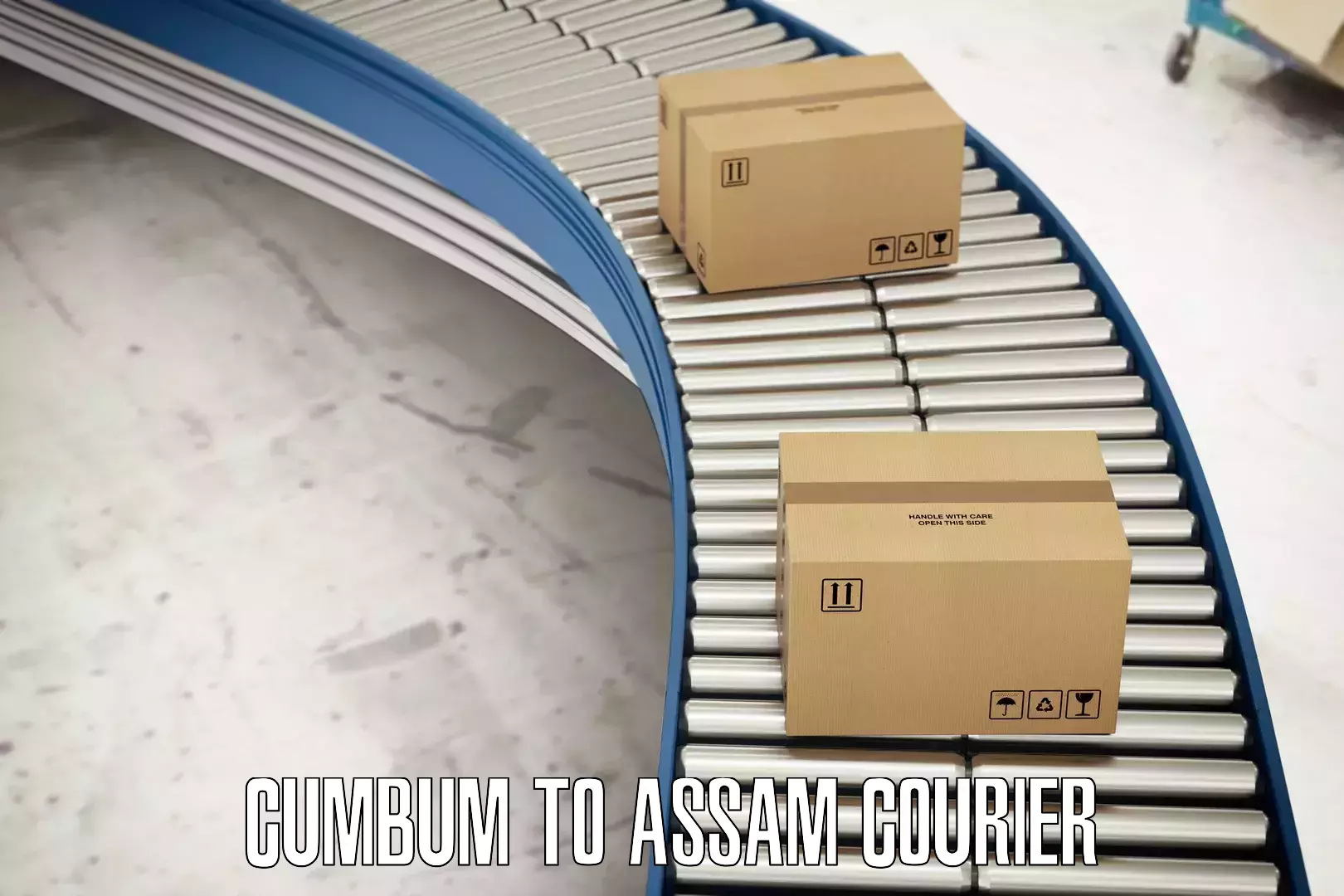 Bulk order courier Cumbum to Assam