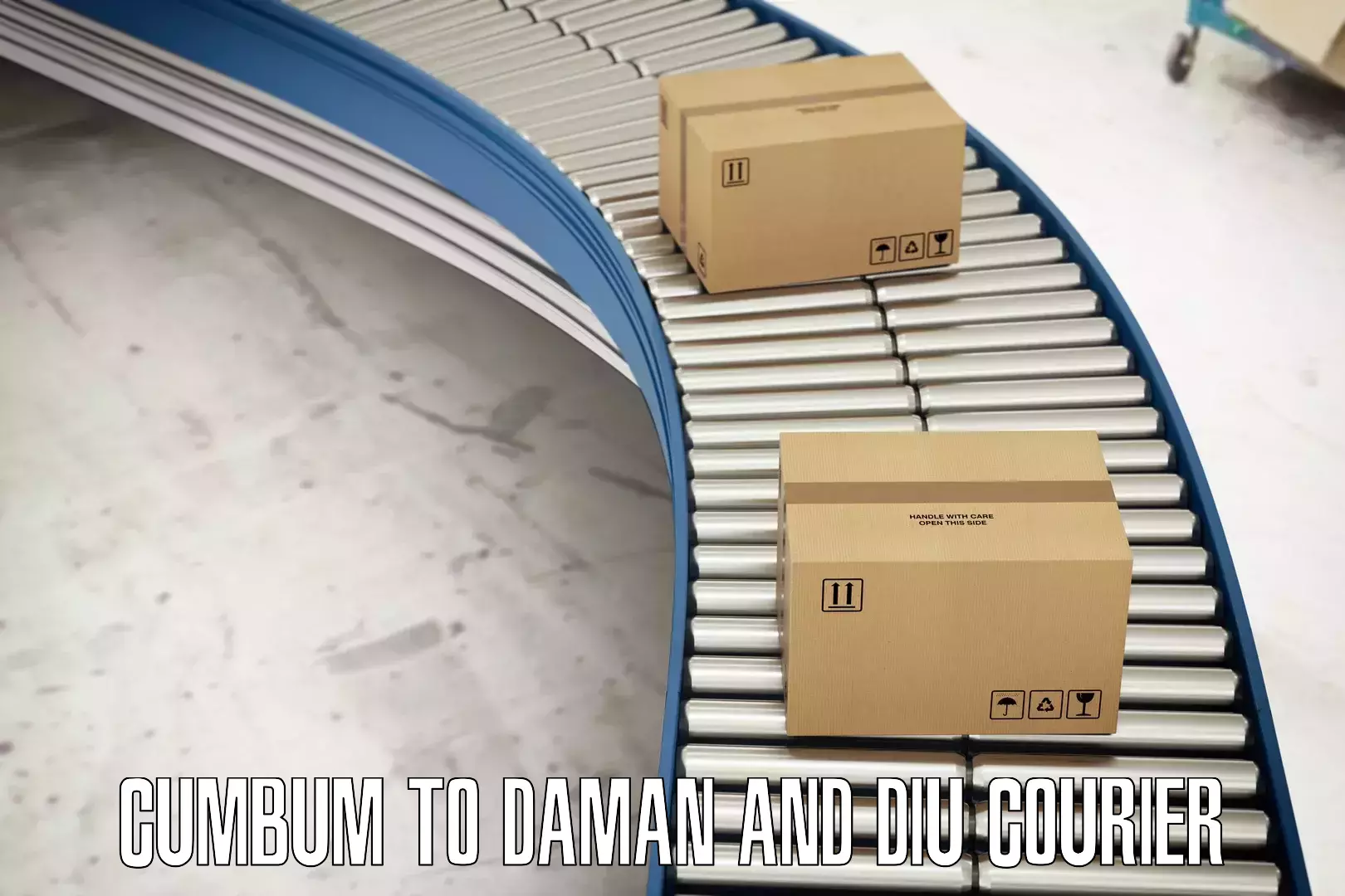 Full-service courier options Cumbum to Daman