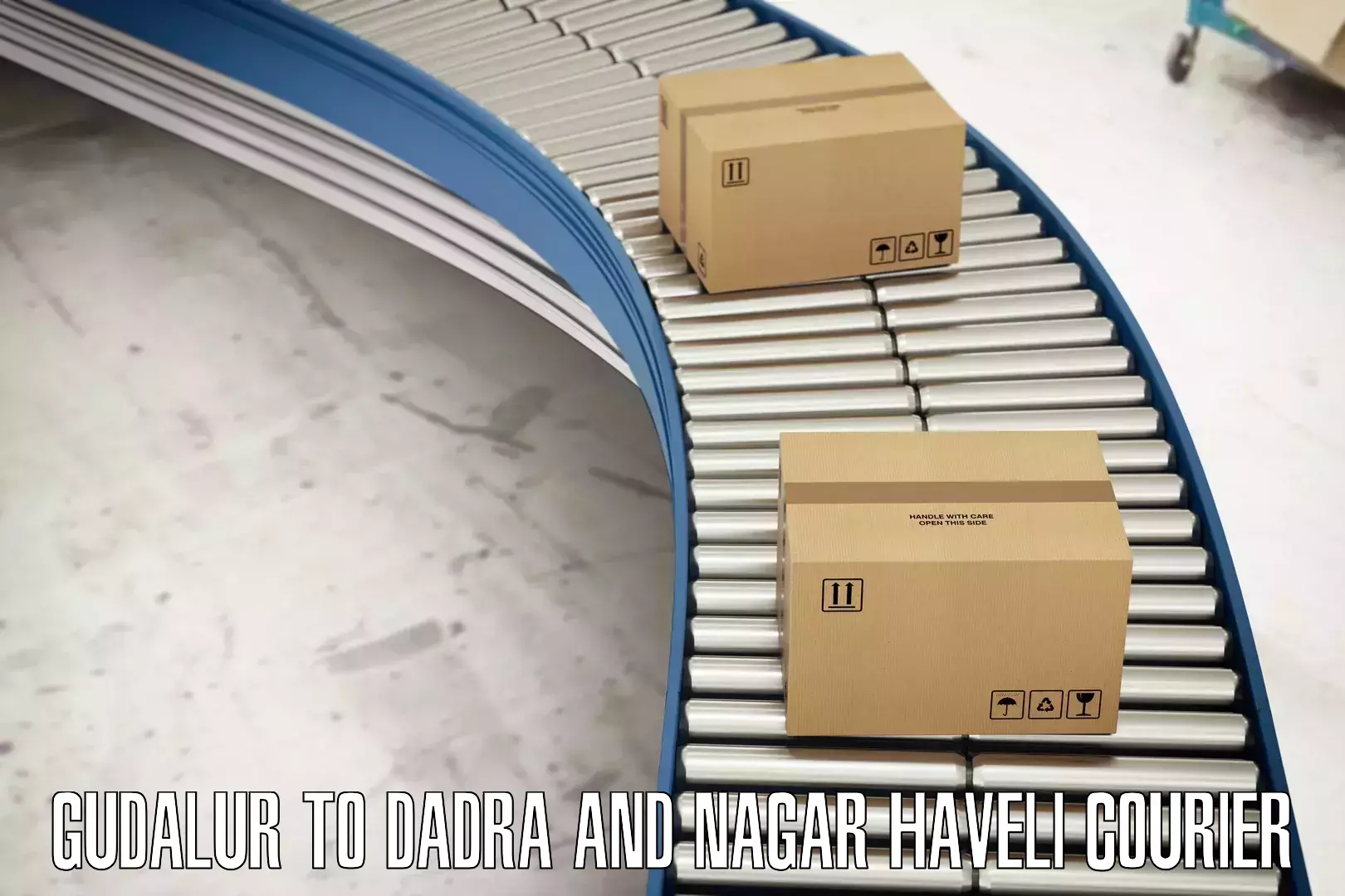 Efficient shipping operations Gudalur to Dadra and Nagar Haveli