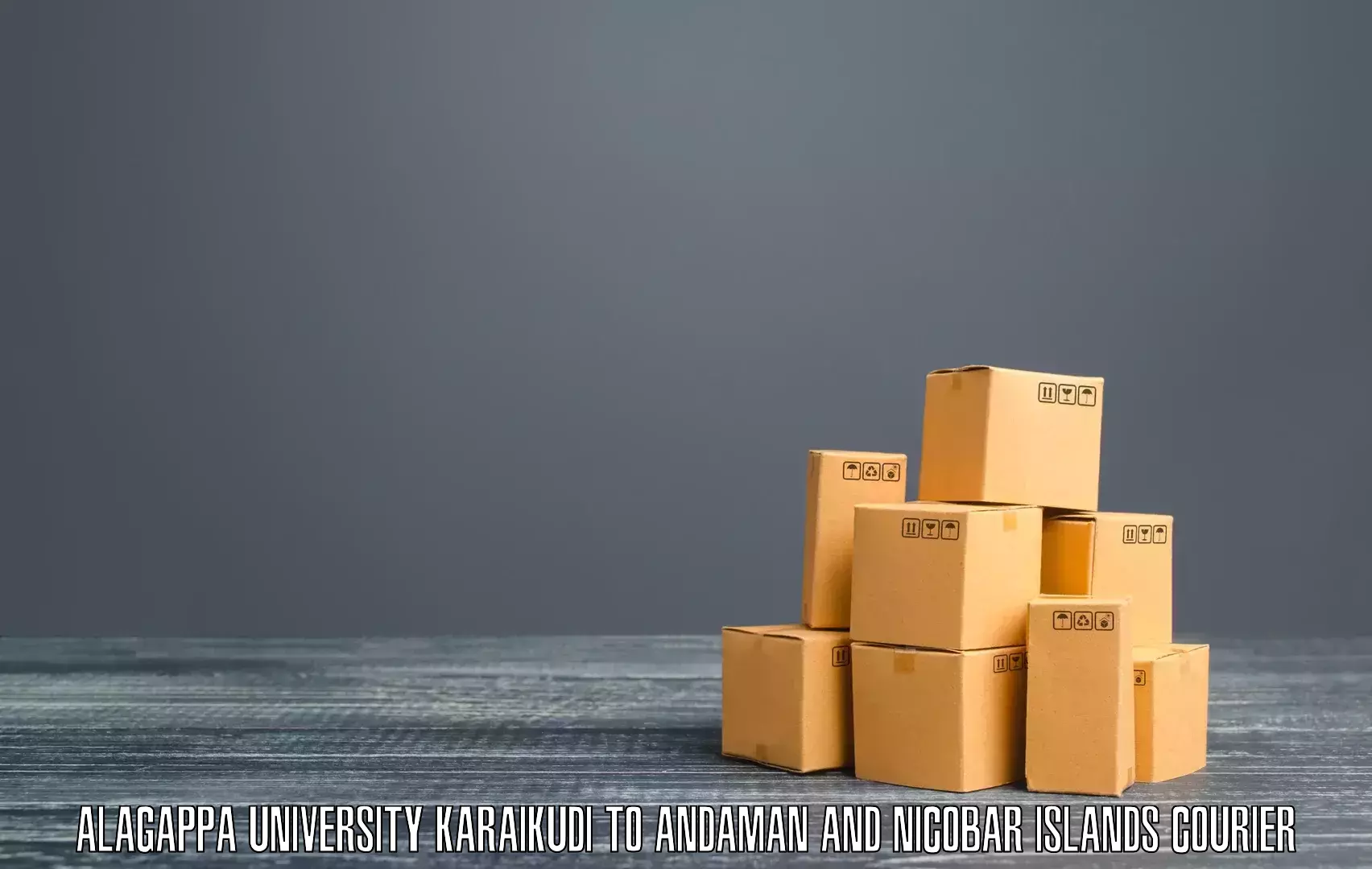 Online package tracking Alagappa University Karaikudi to Andaman and Nicobar Islands