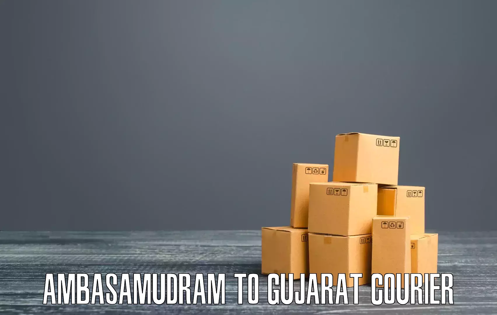 Lightweight parcel options Ambasamudram to Dahod