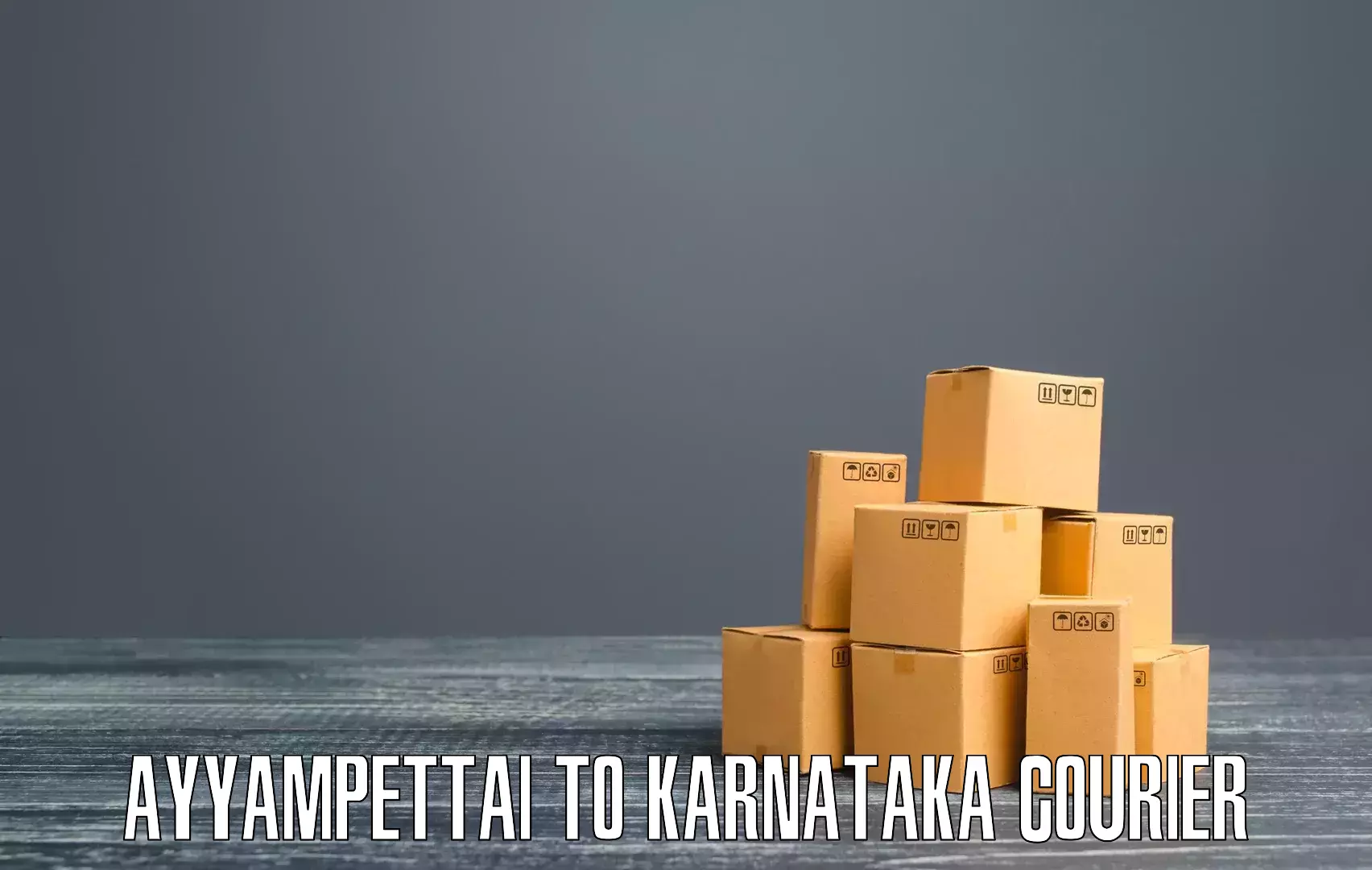 Easy access courier services Ayyampettai to Karnataka