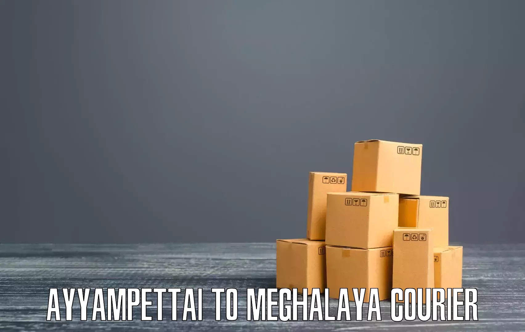 Easy access courier services Ayyampettai to Meghalaya
