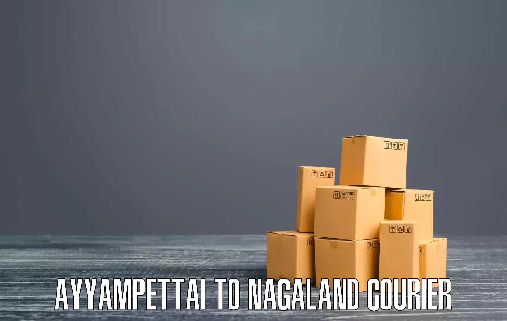 Custom courier rates Ayyampettai to Tuensang