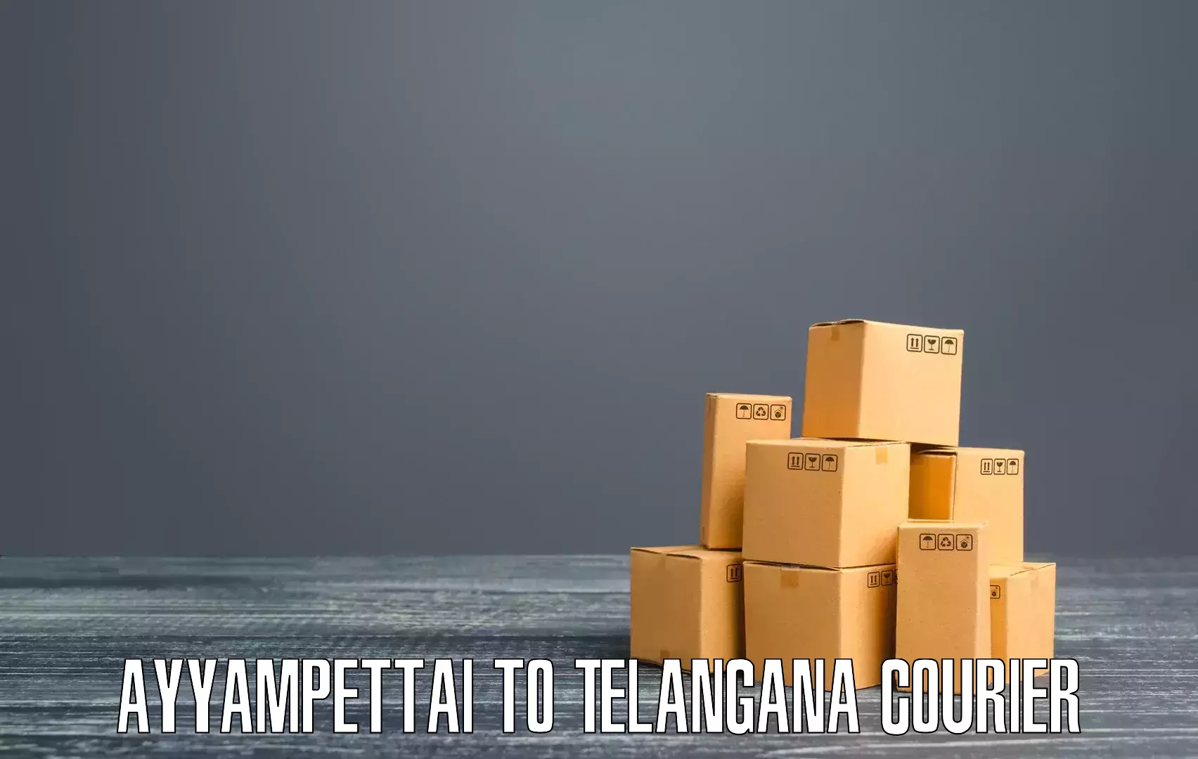 Advanced package delivery Ayyampettai to Metpally