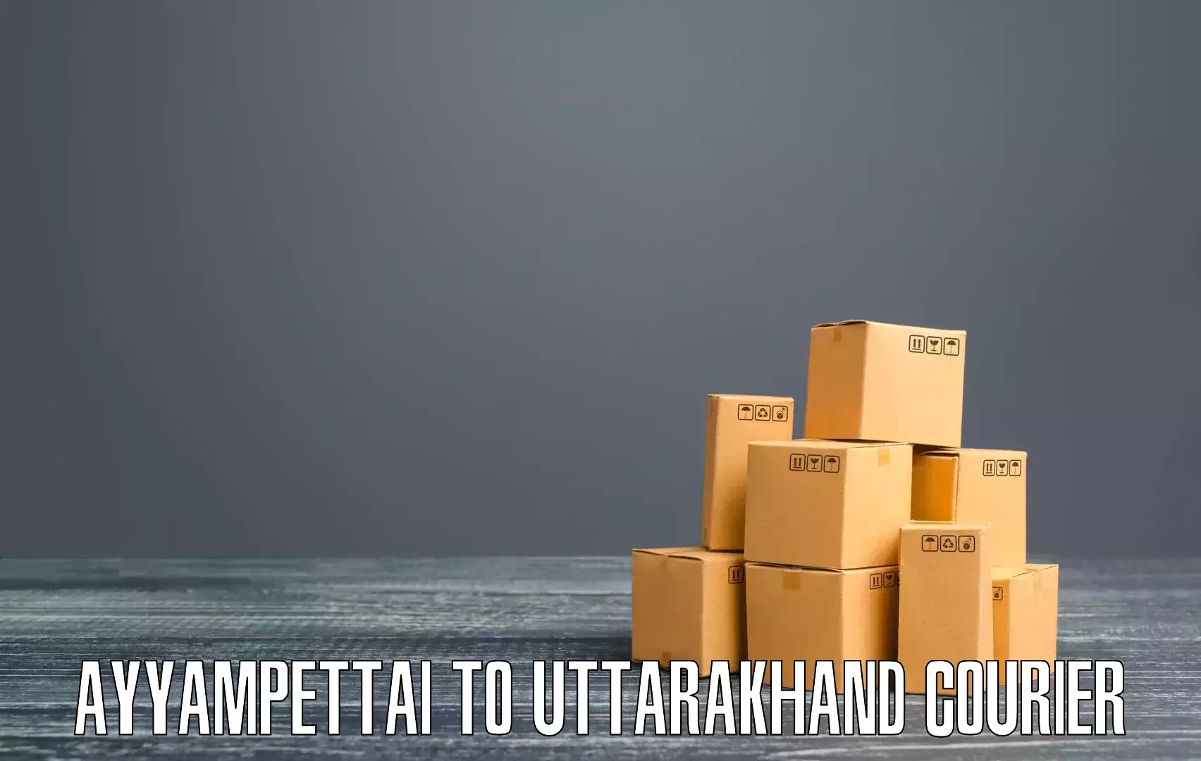 Reliable package handling in Ayyampettai to Udham Singh Nagar