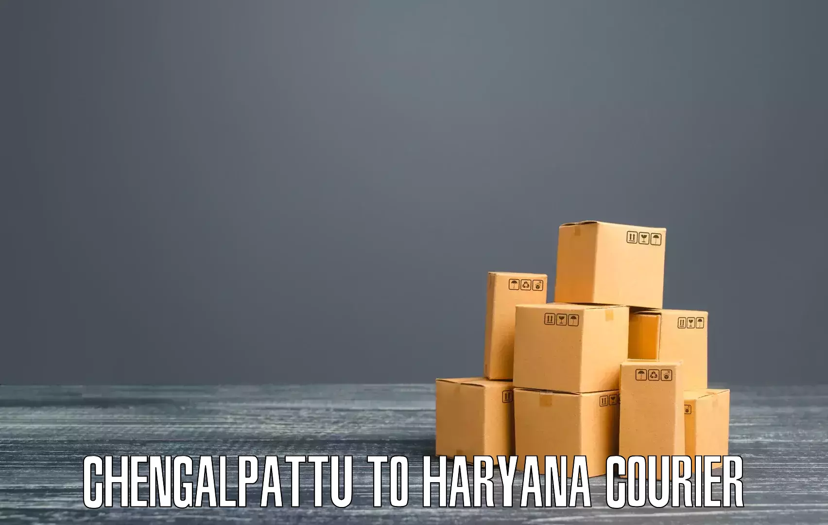 Advanced courier platforms Chengalpattu to Haryana