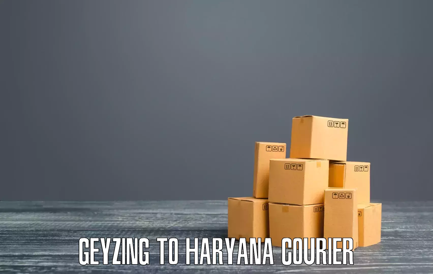 Express package services Geyzing to Haryana