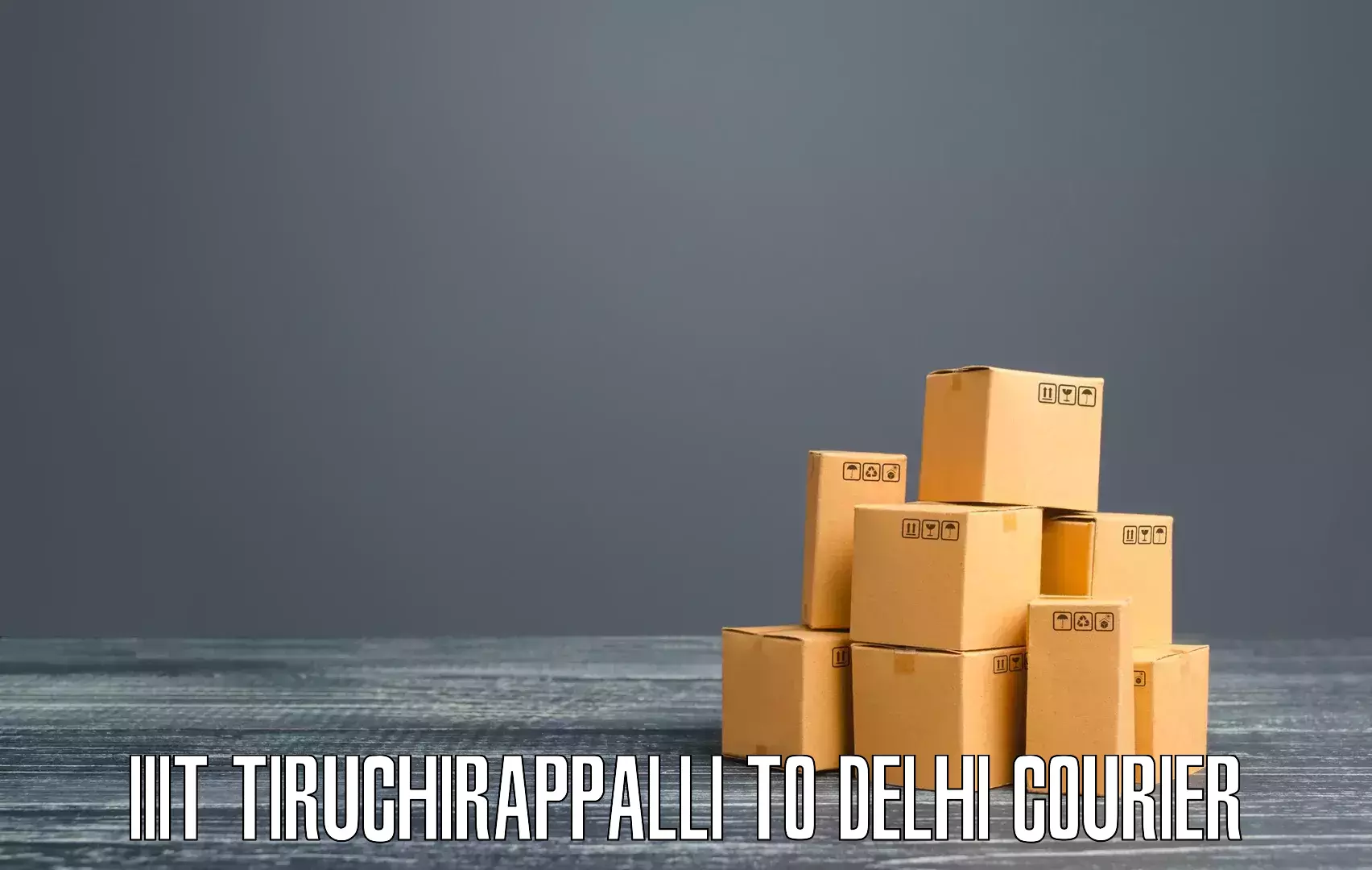 Efficient parcel transport IIIT Tiruchirappalli to Ramesh Nagar