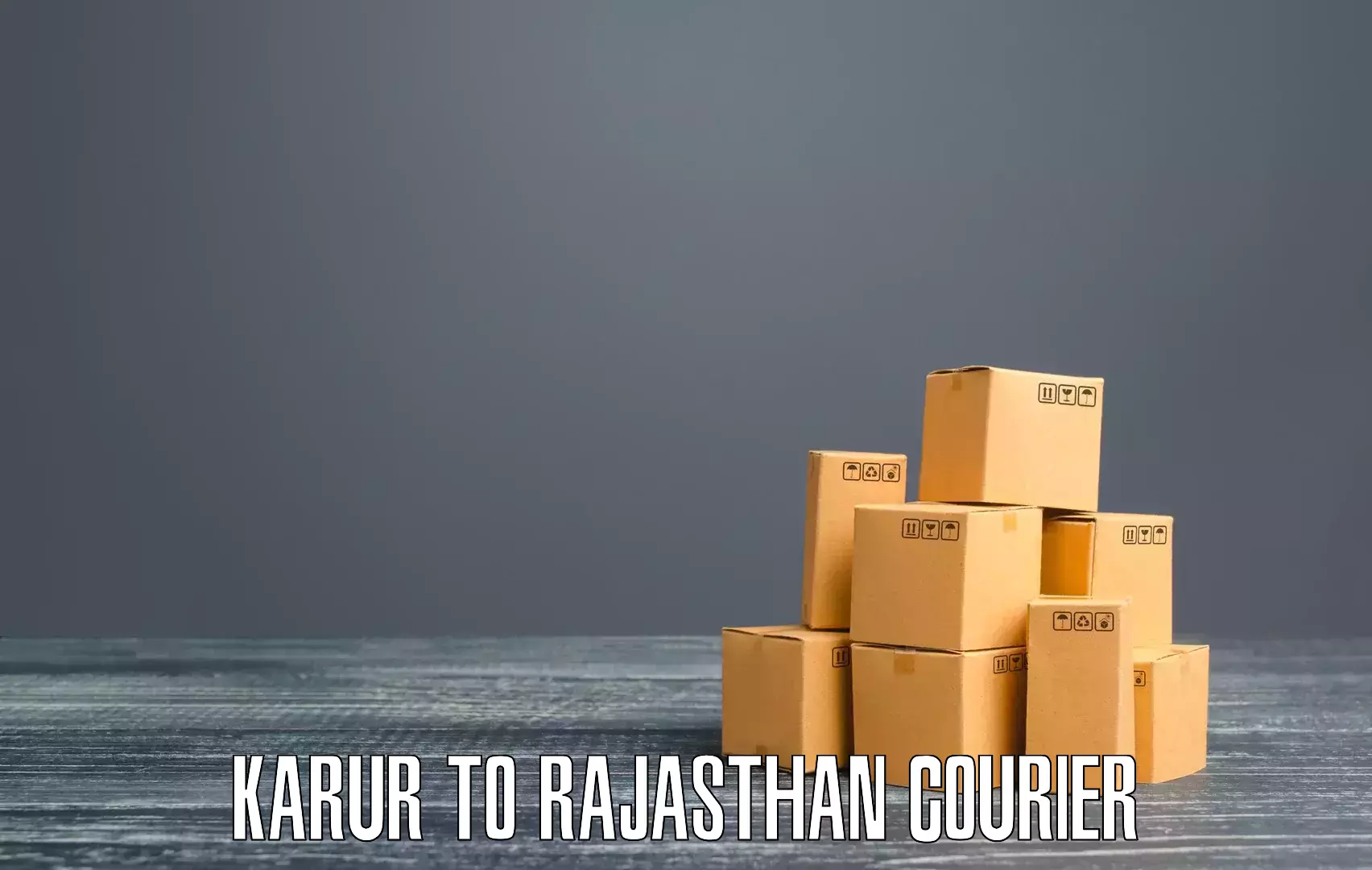 Courier service partnerships Karur to Alwar