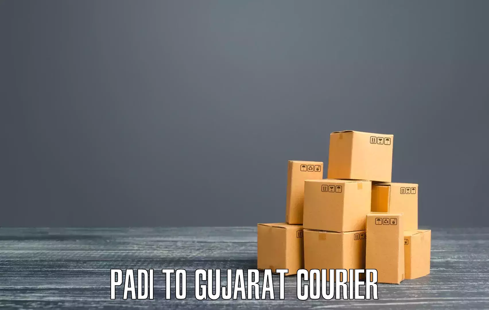 Cargo delivery service Padi to Gandhidham