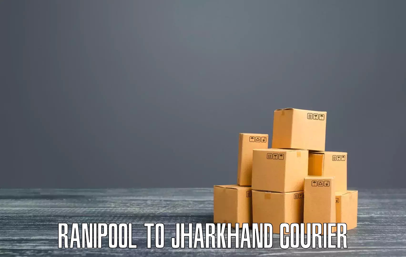 24-hour courier services Ranipool to Tisri