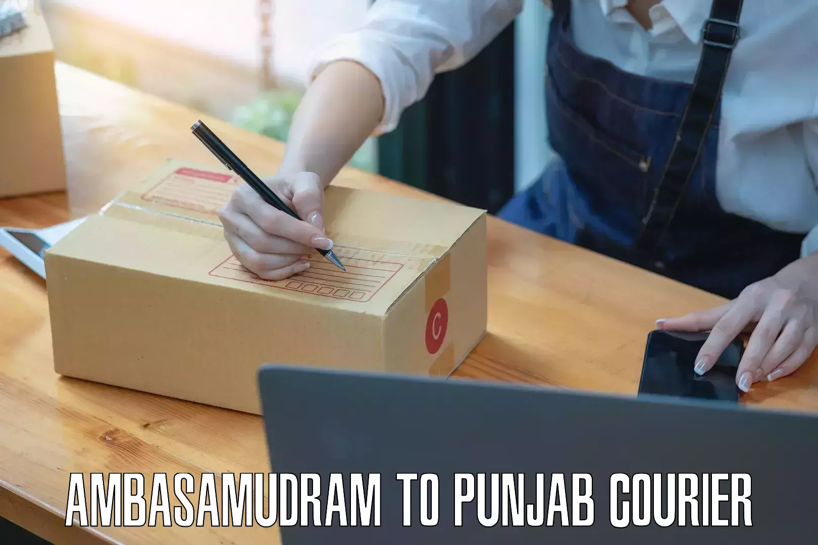 Lightweight parcel options Ambasamudram to Punjab