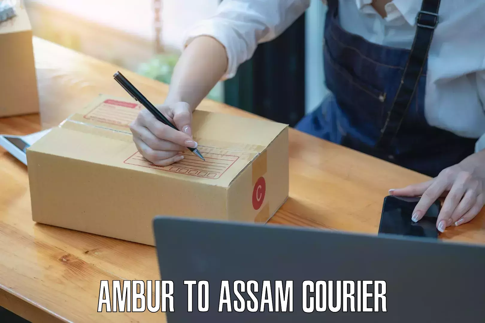 Multi-national courier services Ambur to Bilasipara