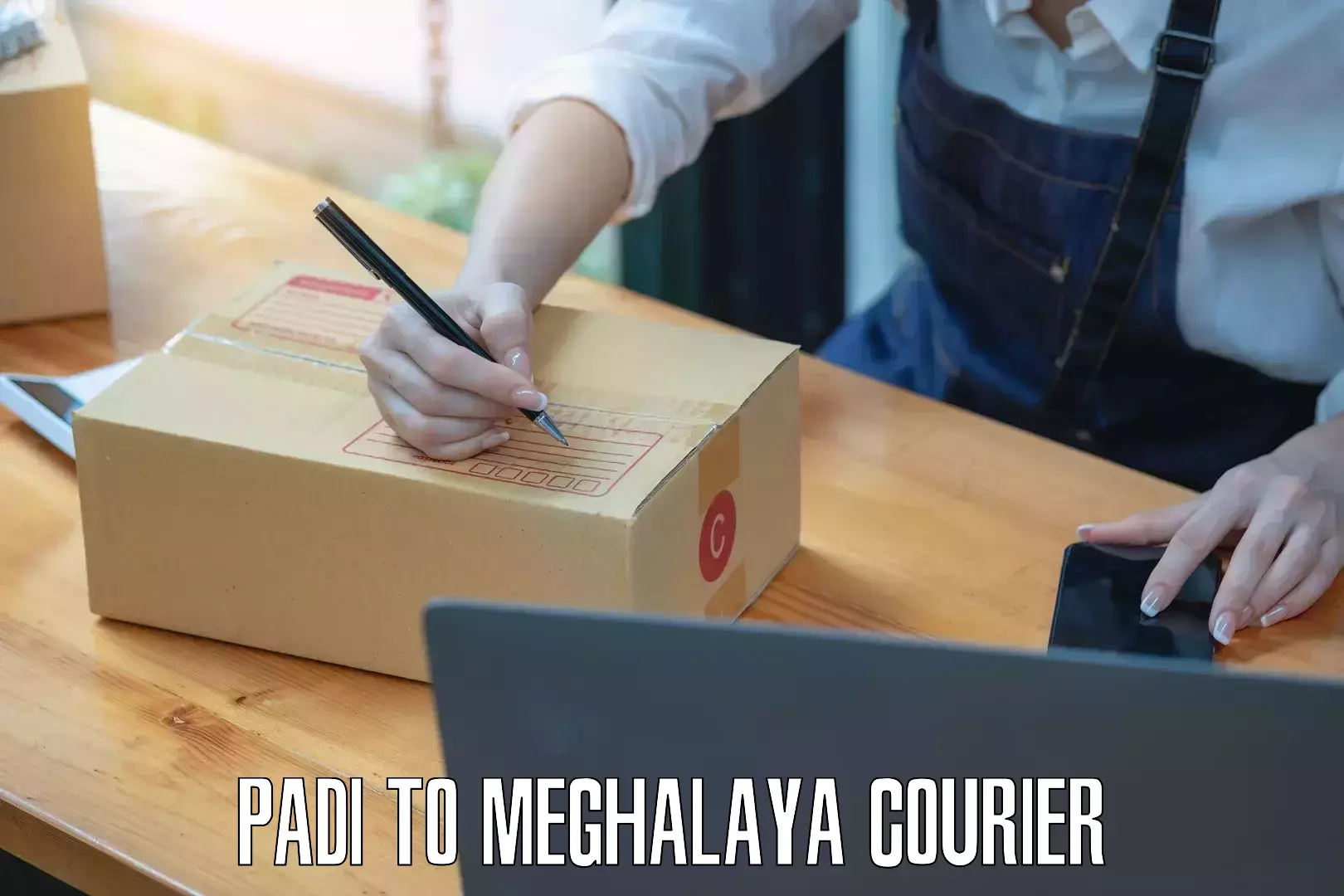 Optimized courier strategies Padi to Meghalaya