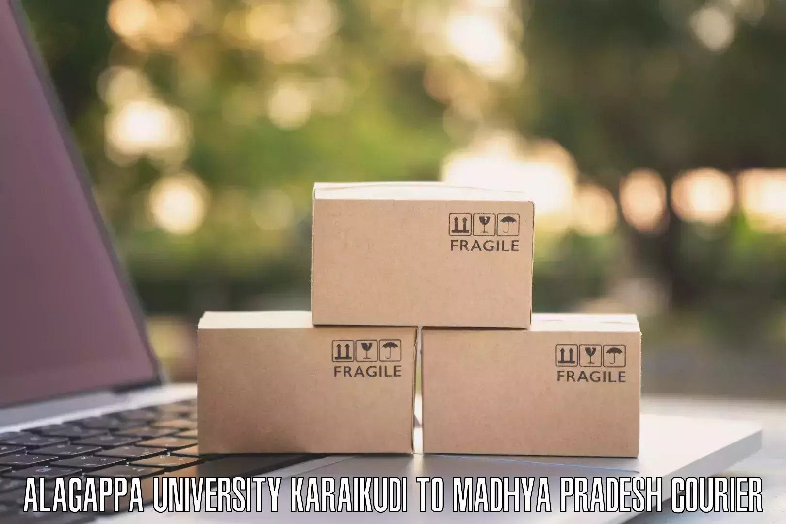 Door-to-door shipment Alagappa University Karaikudi to Madhya Pradesh