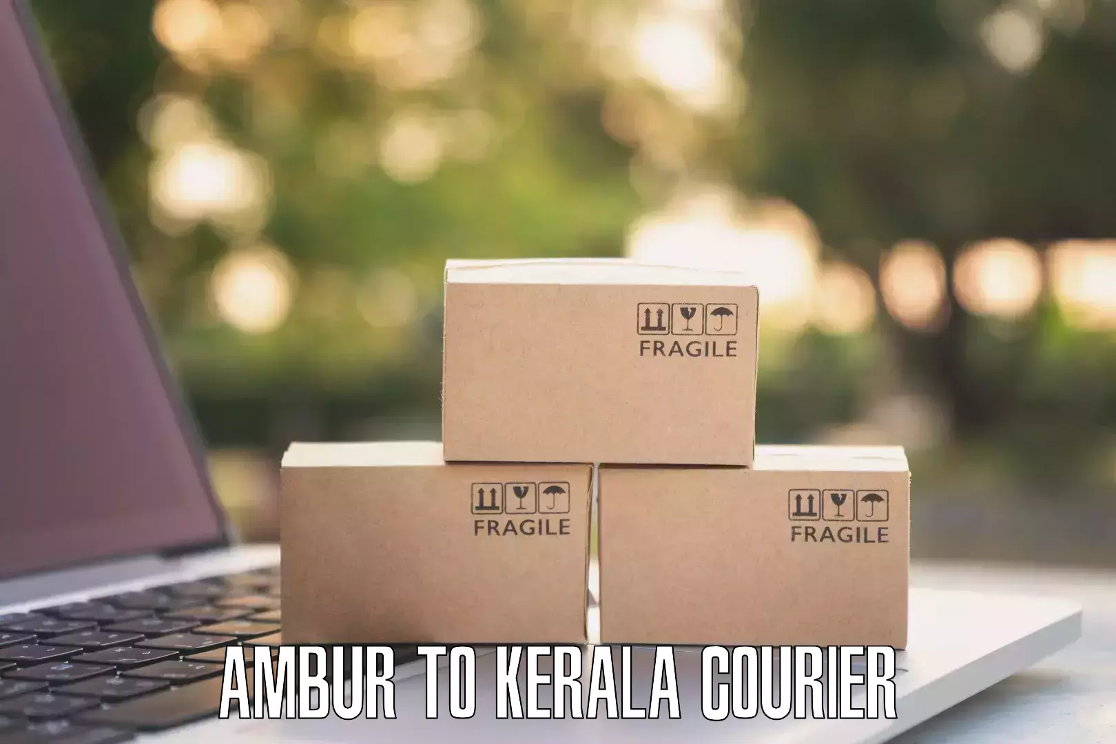 Courier rate comparison Ambur to Kerala