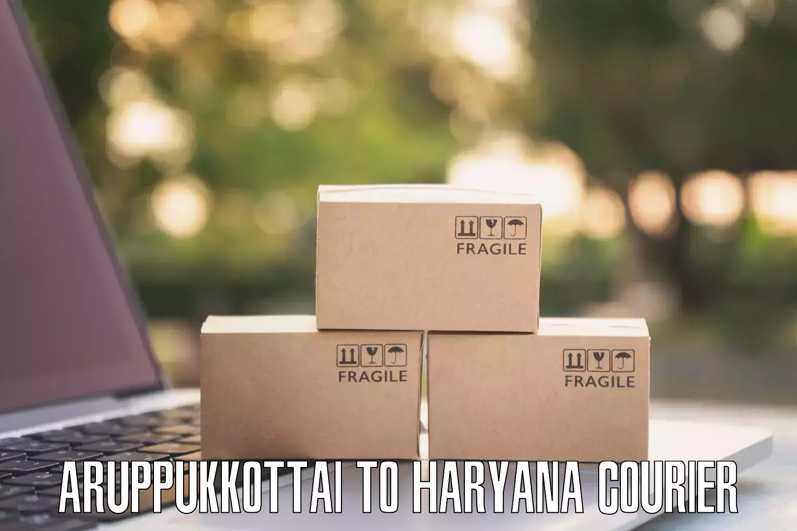 Sustainable courier practices Aruppukkottai to Rewari