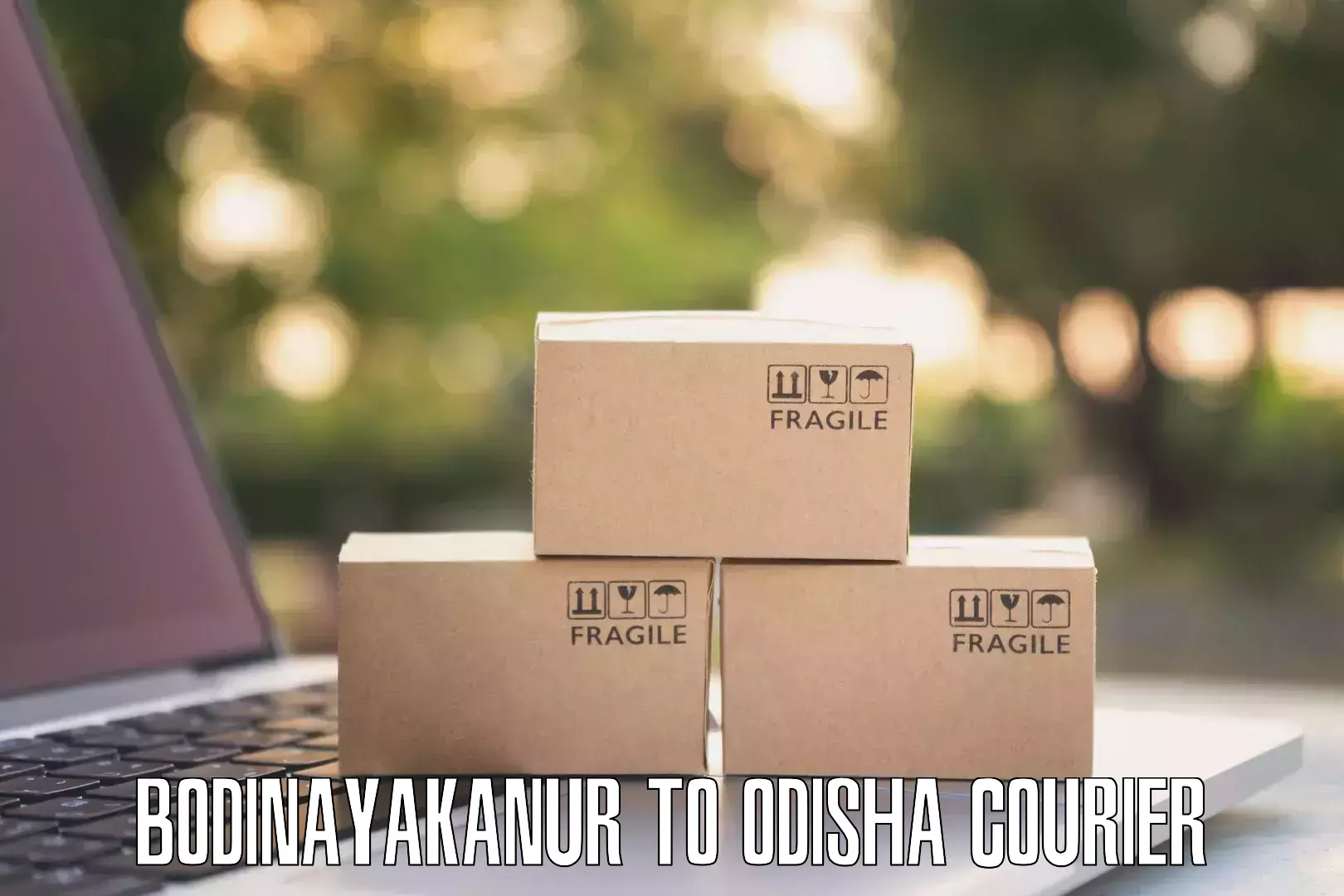 Flexible delivery schedules Bodinayakanur to Bissam Cuttack